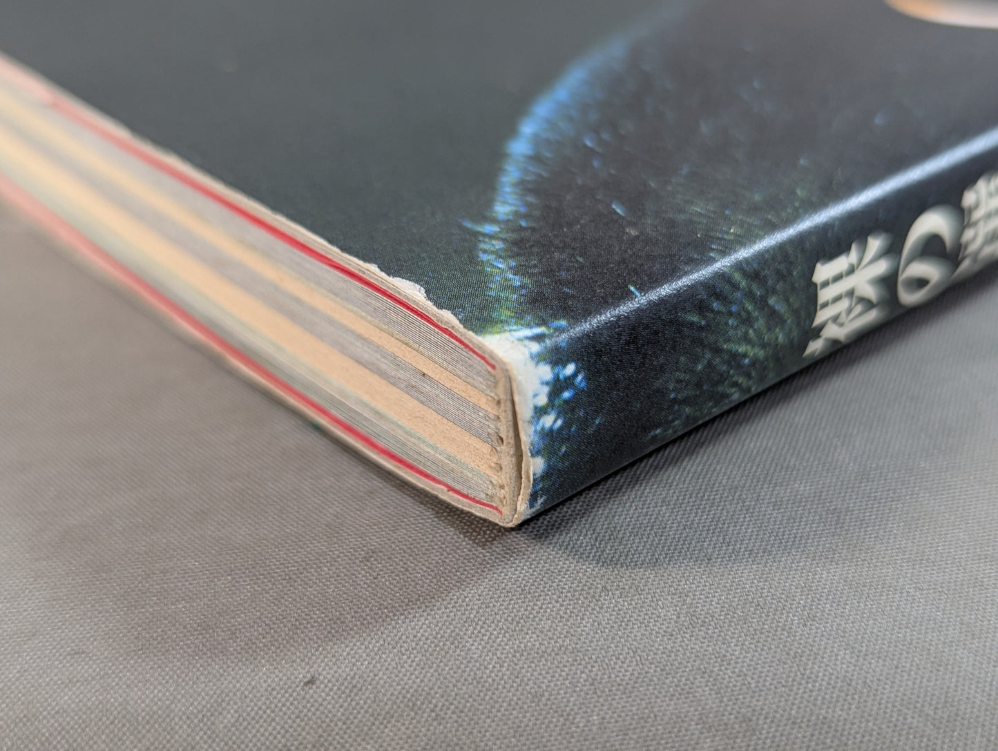 【直筆サイン入り】裸の選択