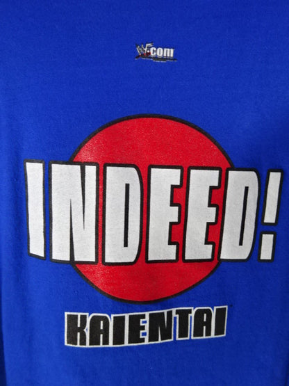 KAIENTAI ロゴTシャツ①(WWF / ブルー)