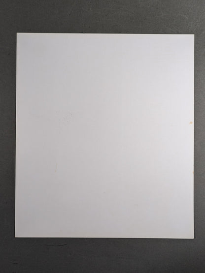 The Destroyer (Dedicated Cardboard)