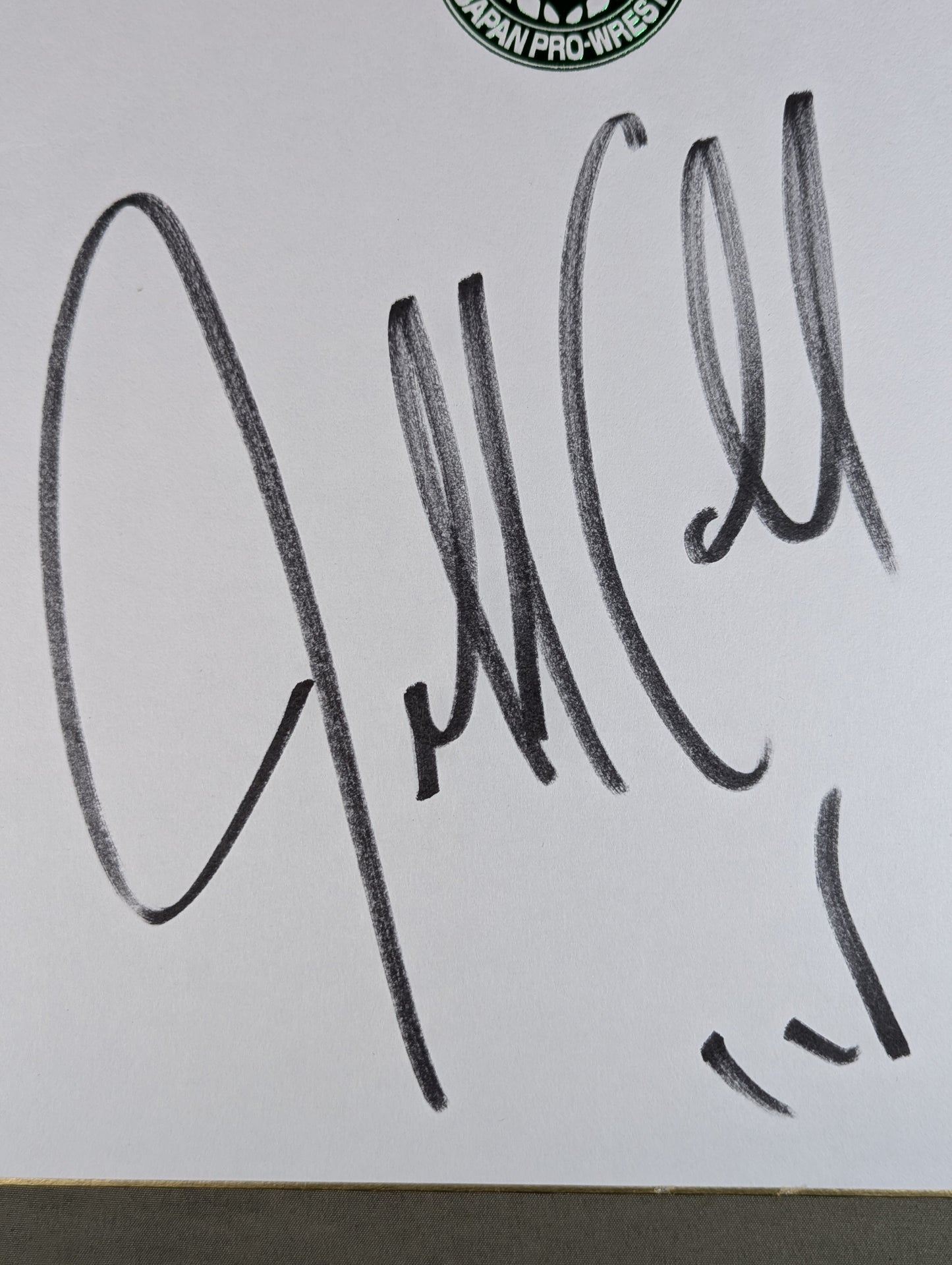 Jeff Cobb (Lion Mark Shikishi ( Autograph board ) )