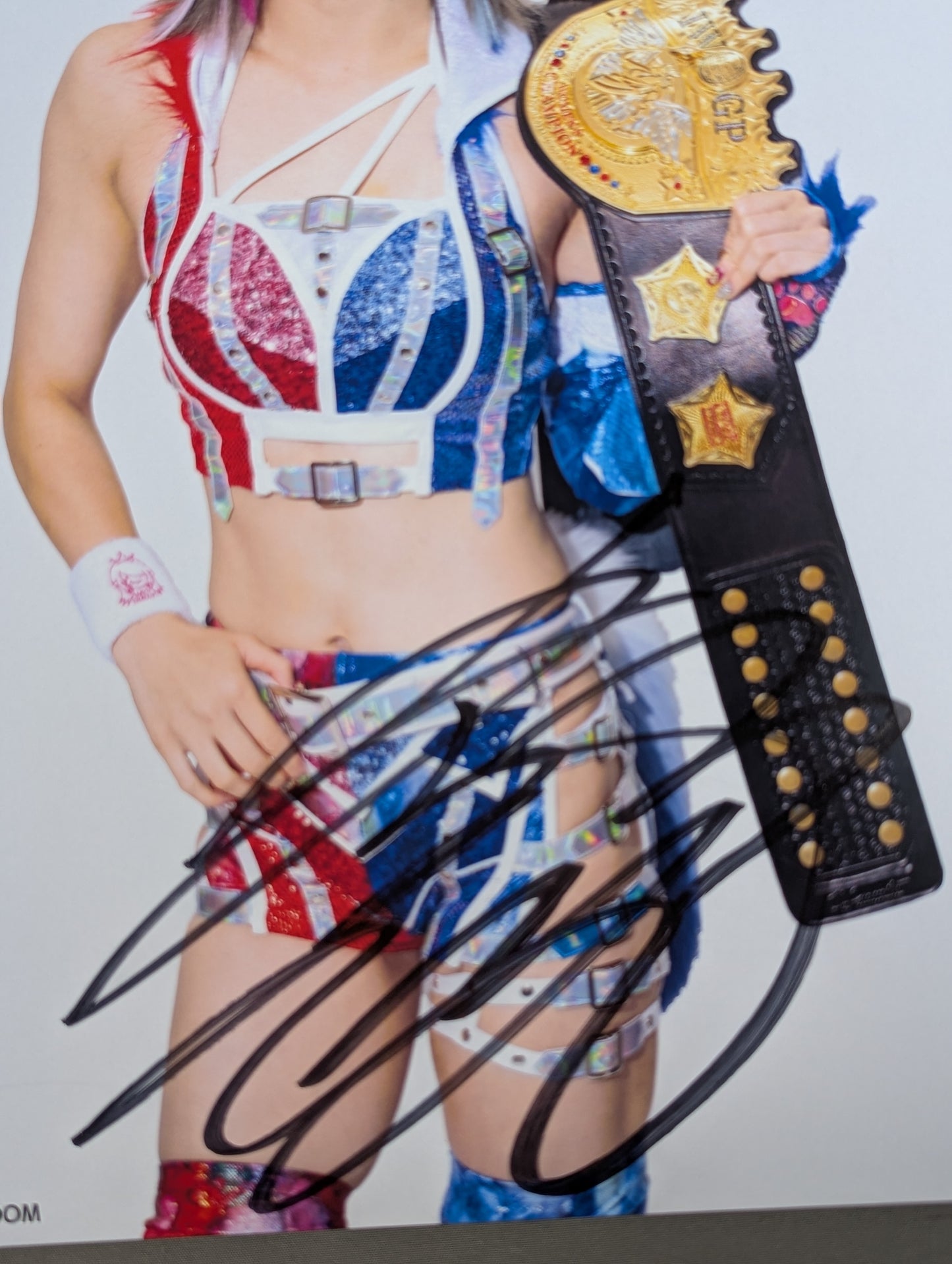 ★IWGP★ 岩谷麻優 直筆サイン入り スターダムポートレート(A-8)