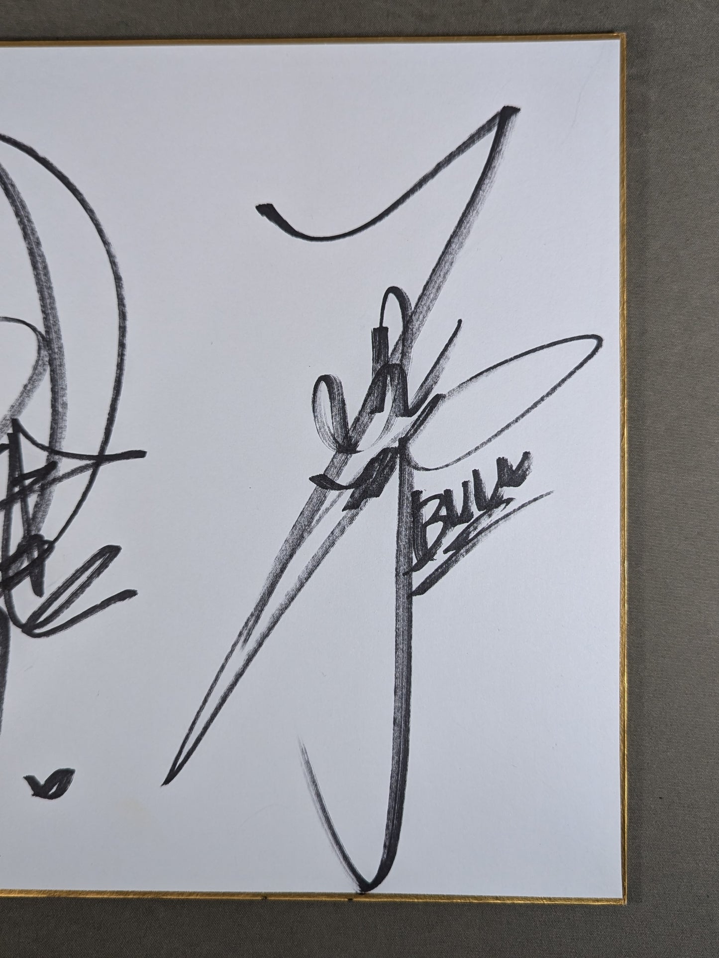 ★ ★ Gokuaku Domei Dump Matsumoto & Bull Nakano