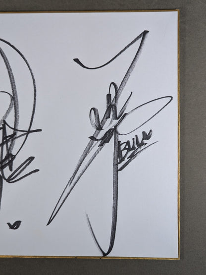 ★ ★ Gokuaku Domei Dump Matsumoto & Bull Nakano