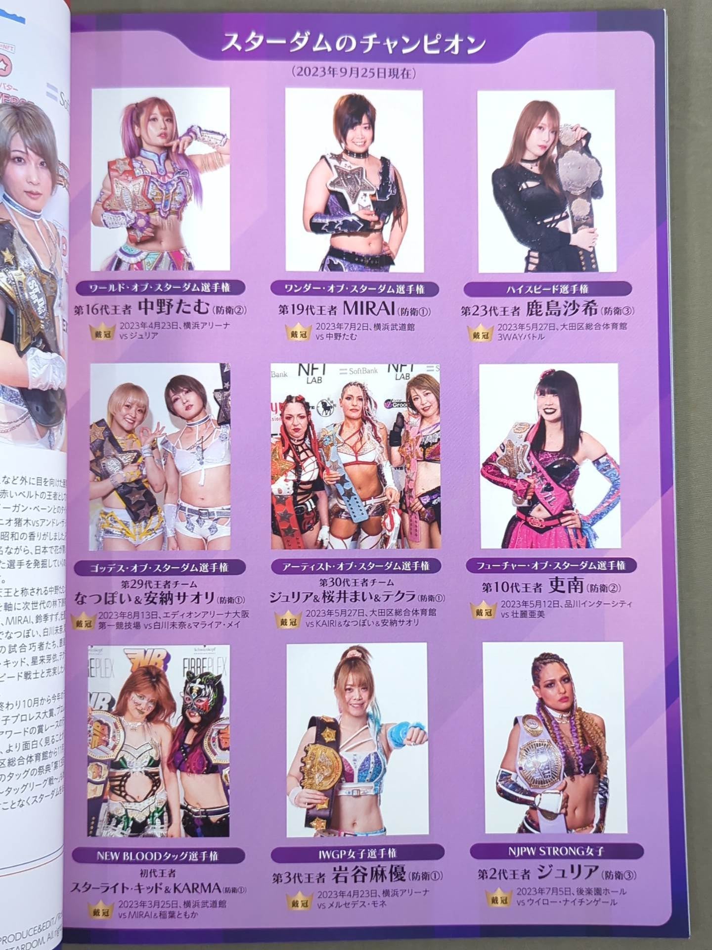 STARDOM OFFICIAL GUIDE BOOK 5★STAR GP 2023 Special