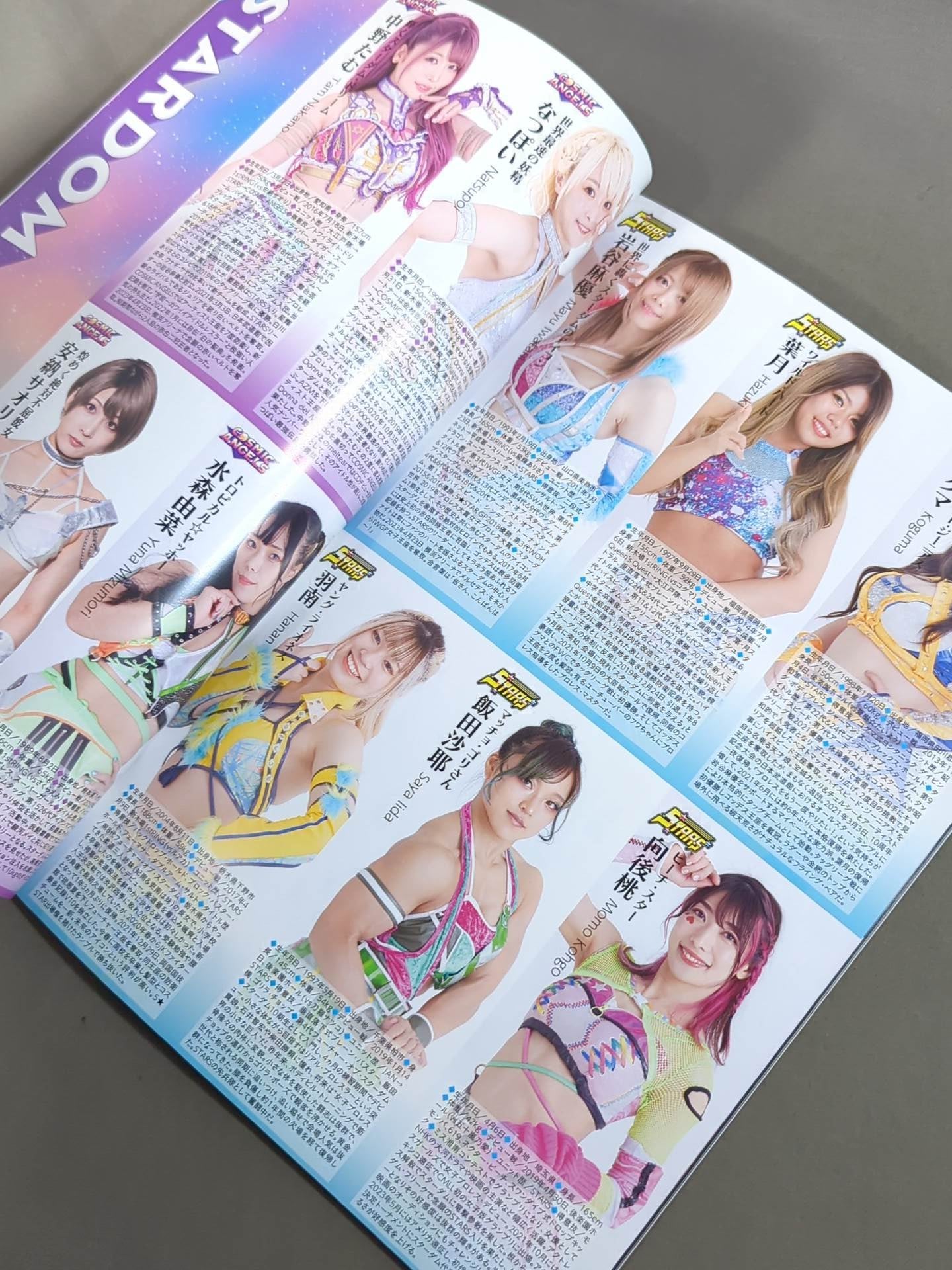 STARDOM OFFICIAL GUIDE BOOK 5★STAR GP 2023 Special