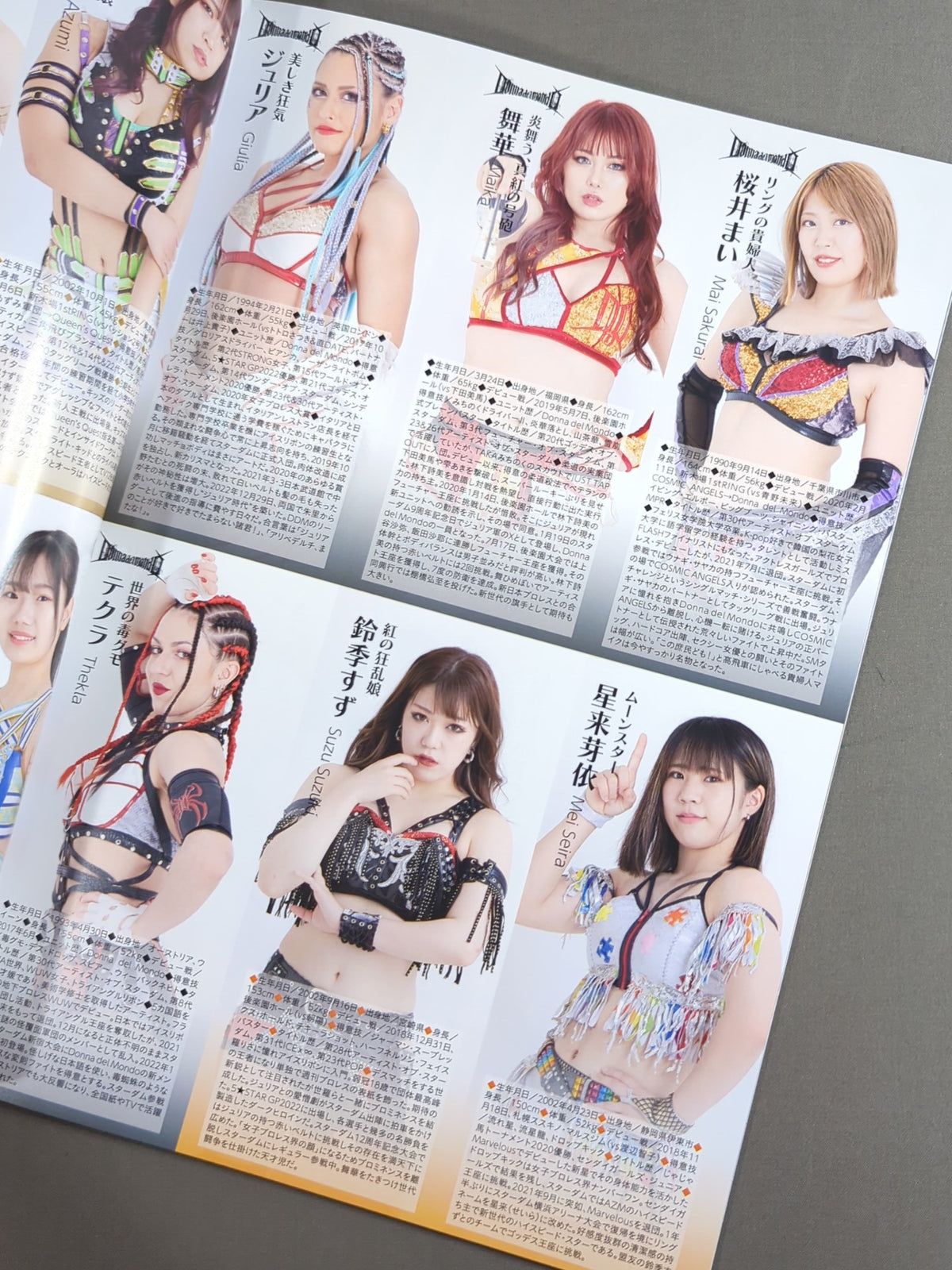 STARDOM OFFICIAL GUIDE BOOK 5★STAR GP 2023 Special