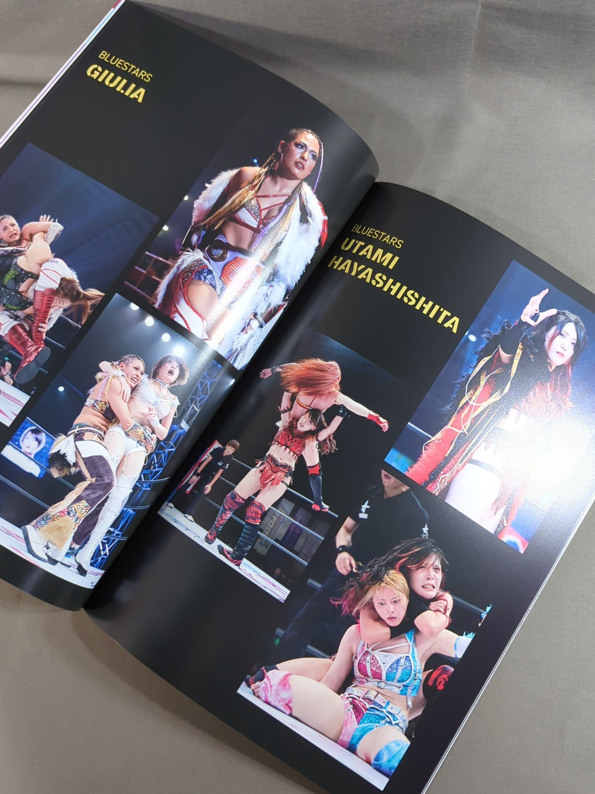 STARDOM OFFICIAL GUIDE BOOK 5★STAR GP 2023 Special