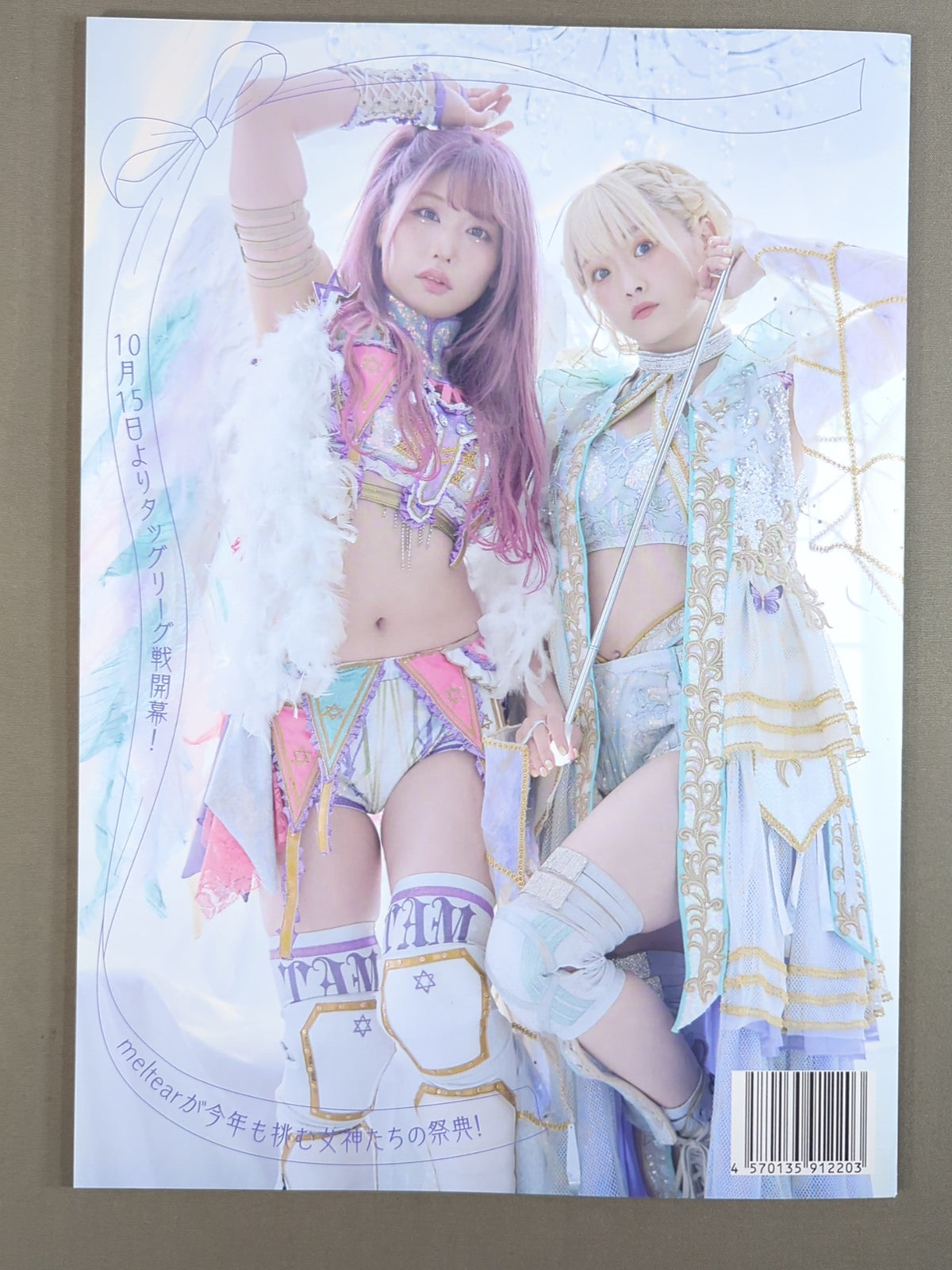 STARDOM OFFICIAL GUIDE BOOK 5★STAR GP 2023 Special