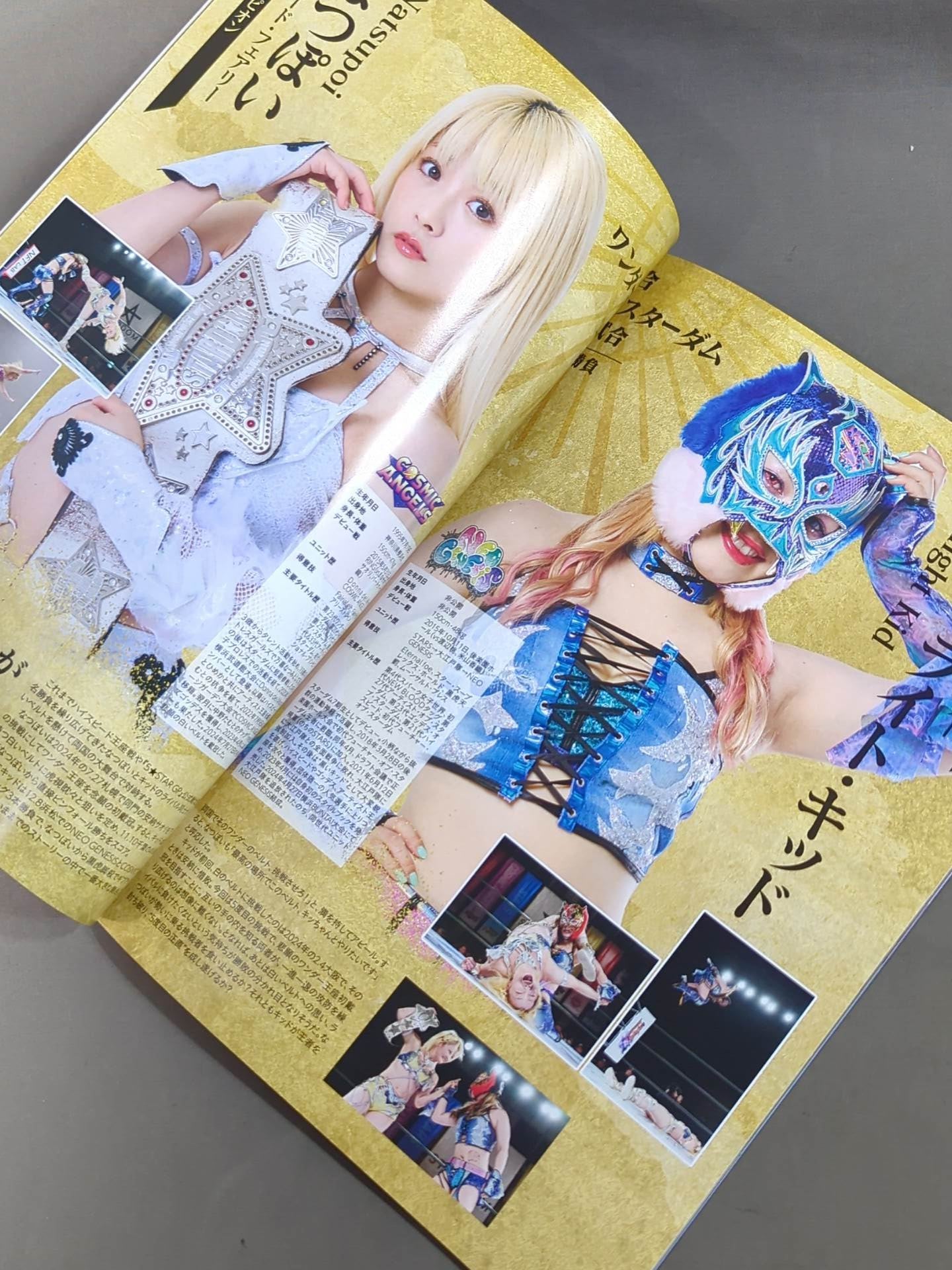 STARDOM DREAM QUEENDOM 2024 / OFFICIAL GUIDE BOOK Vol.154