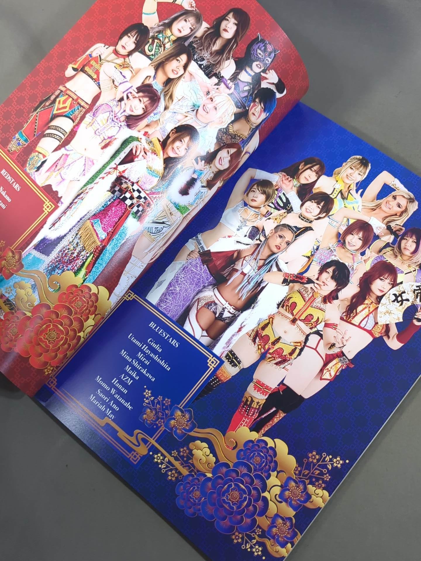 STARDOM OFFICIAL GUIDE BOOK Vol.148