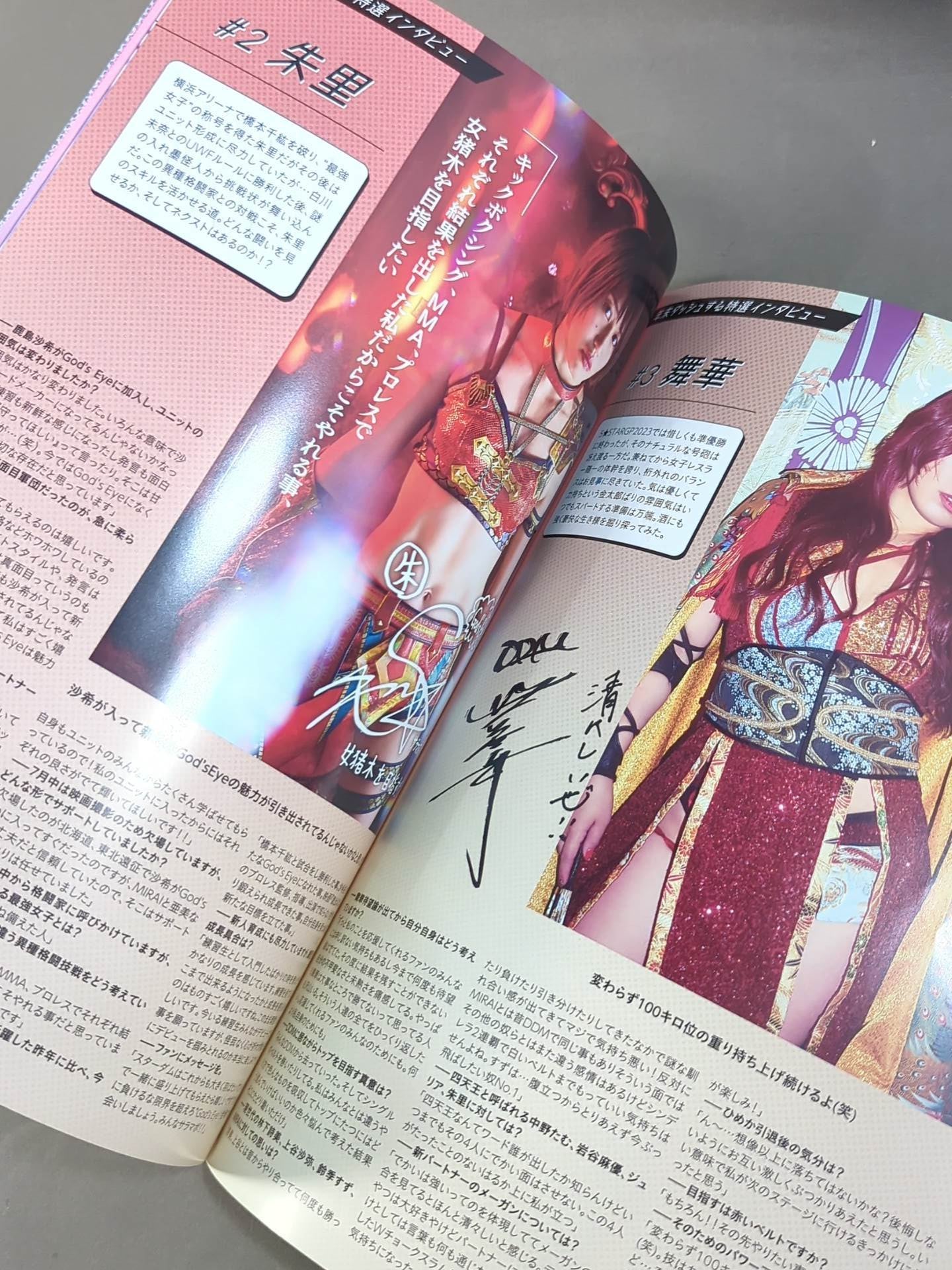 STARDOM OFFICIAL GUIDE BOOK Vol.149