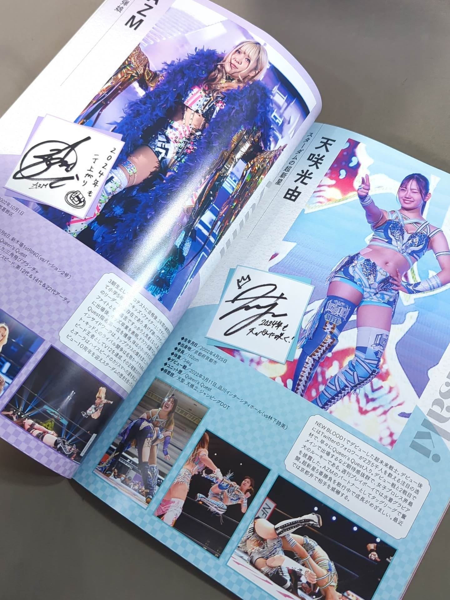 STARDOM OFFICIAL GUIDE BOOK Vol.150
