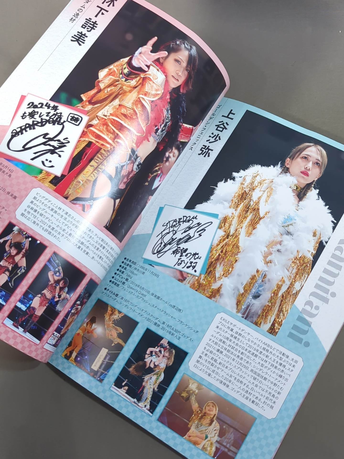 STARDOM OFFICIAL GUIDE BOOK Vol.150