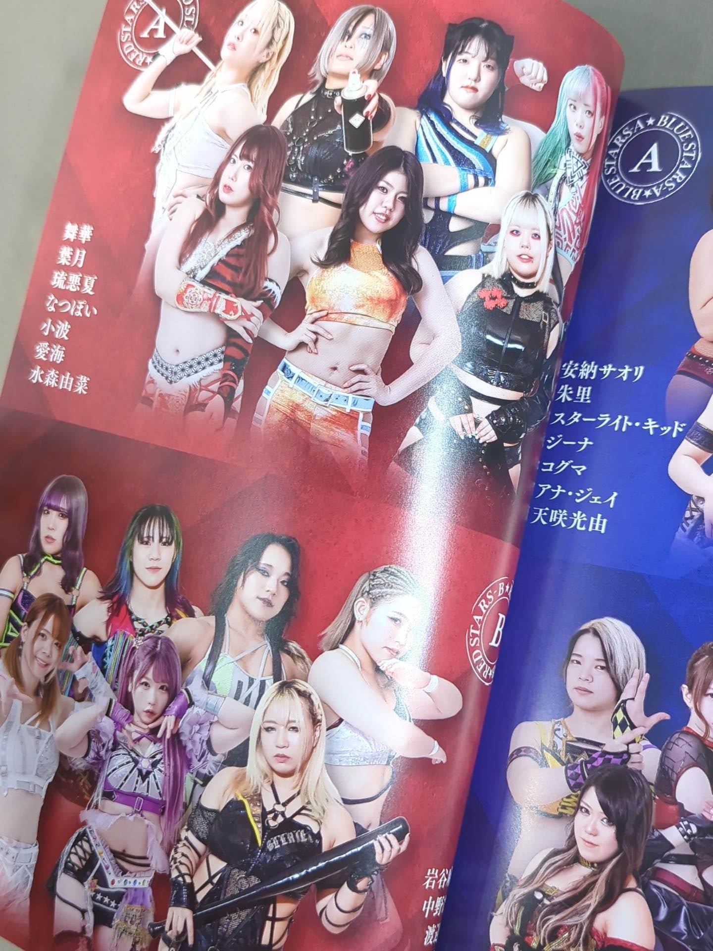 STARDOM OFFICIAL GUIDE BOOK Vol.152
