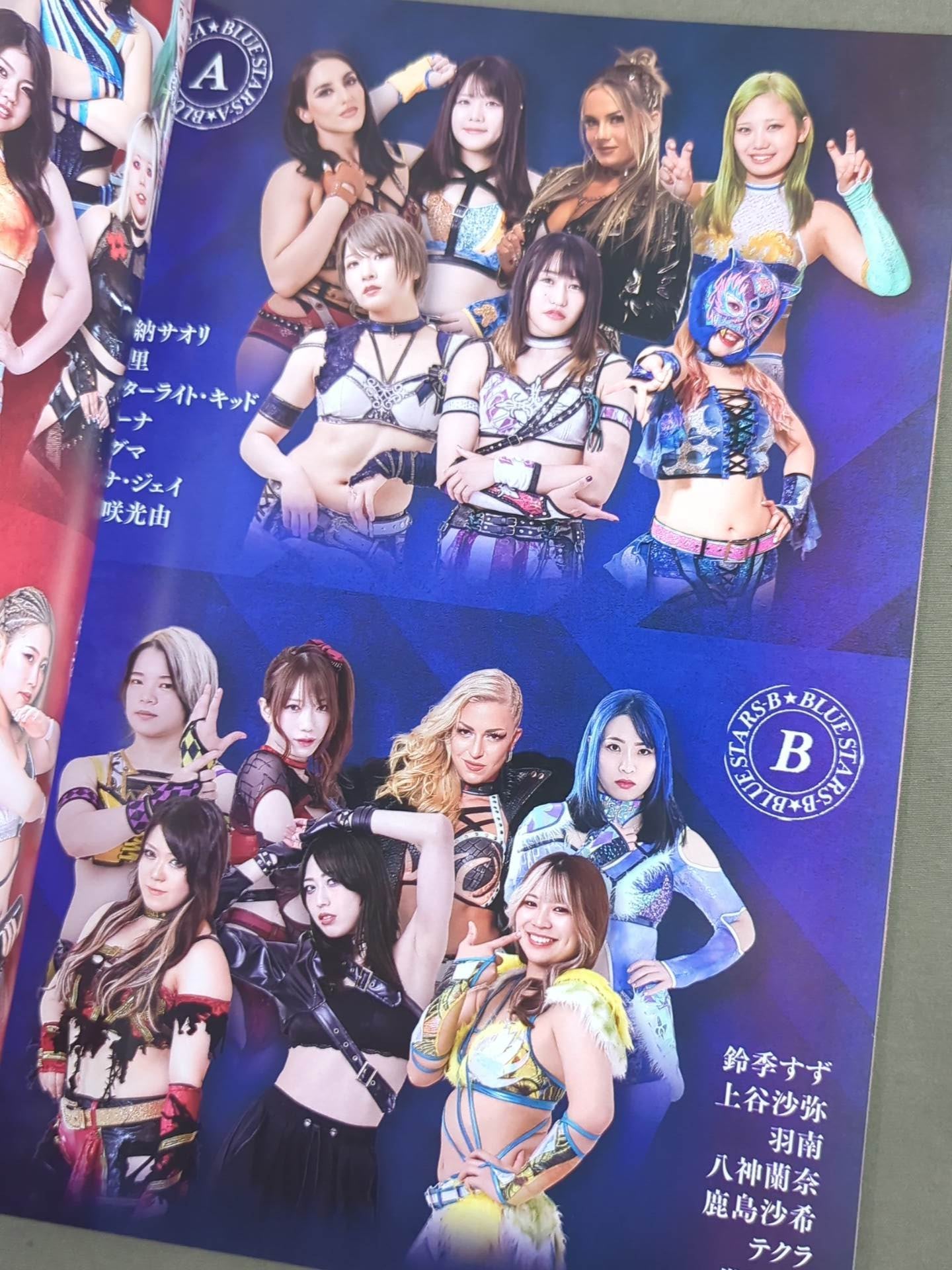 STARDOM OFFICIAL GUIDE BOOK Vol.152