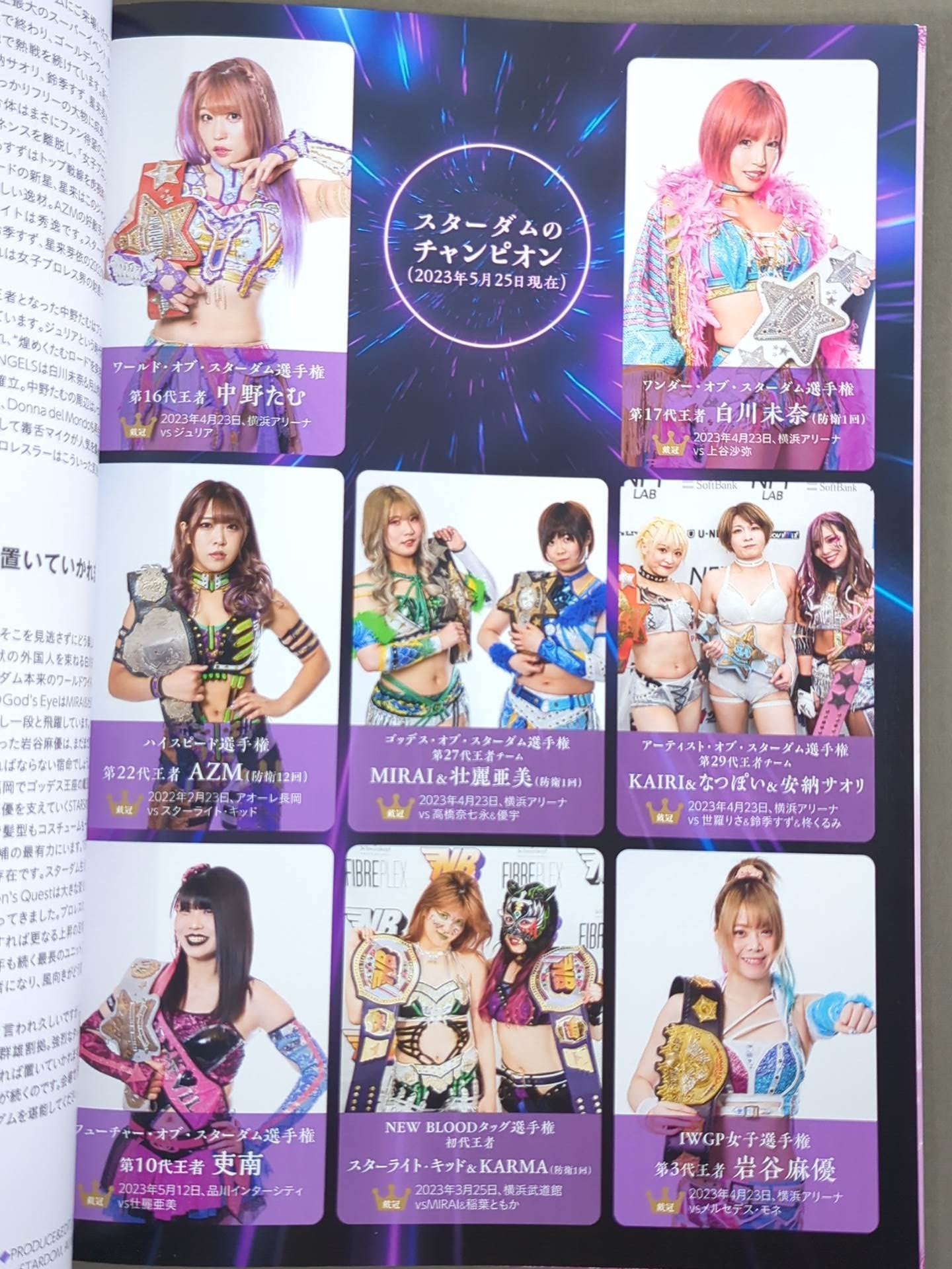 STARDOM OFFICIAL GUIDE BOOK Vol.147