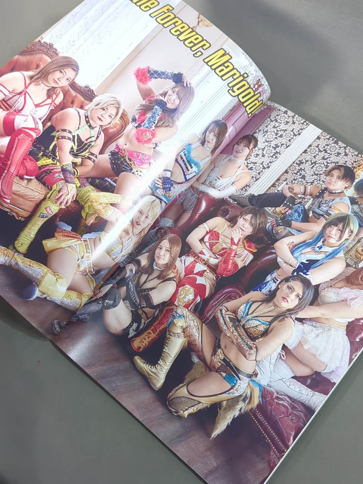 ★創刊号★ マリーゴールド / MARIGOLD GUIDE BOOK Vol.1