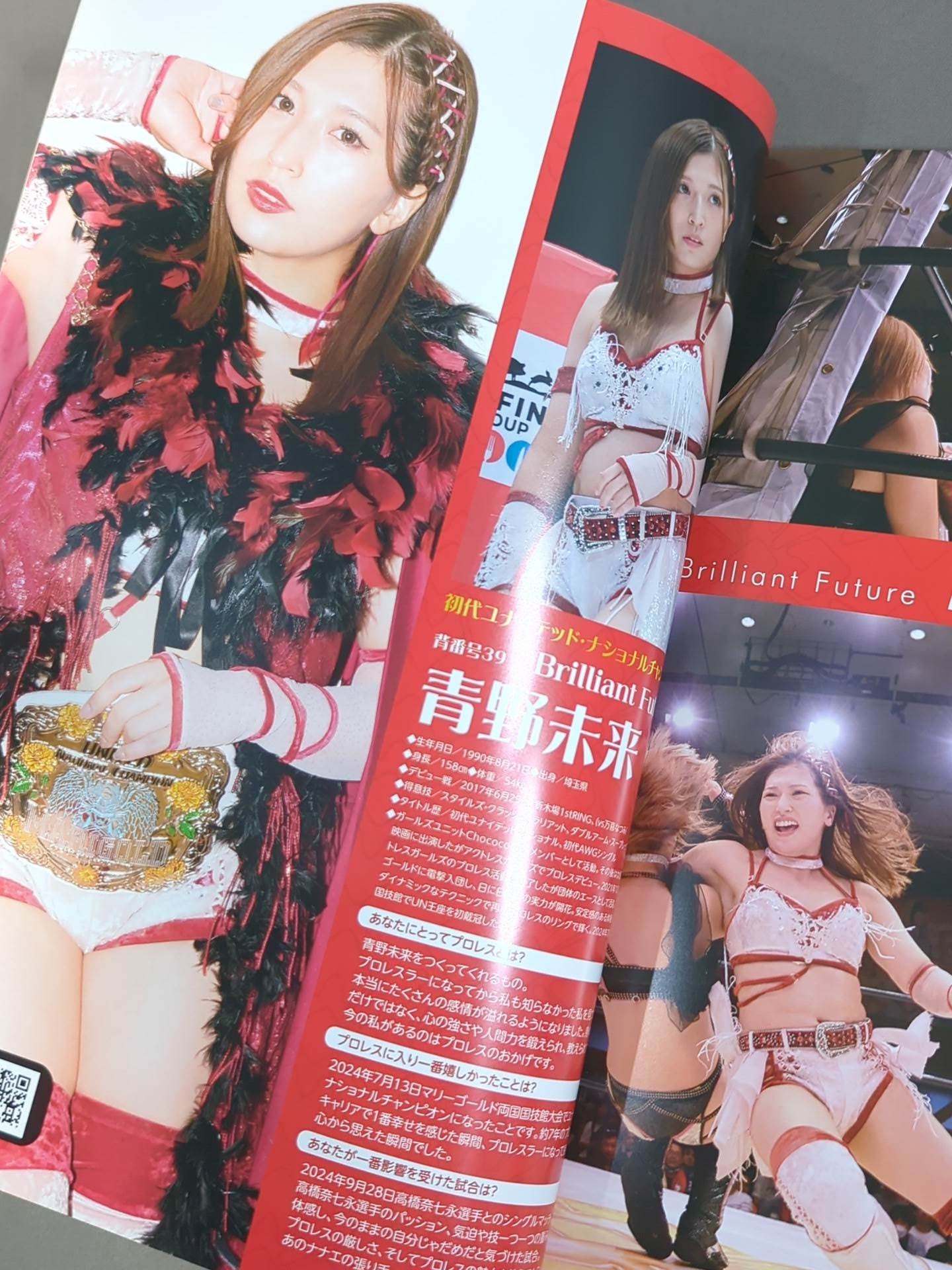 マリーゴールド / MARIGOLD GUIDE BOOK Vol.6 ～Winter Wonderful Fight 2024～