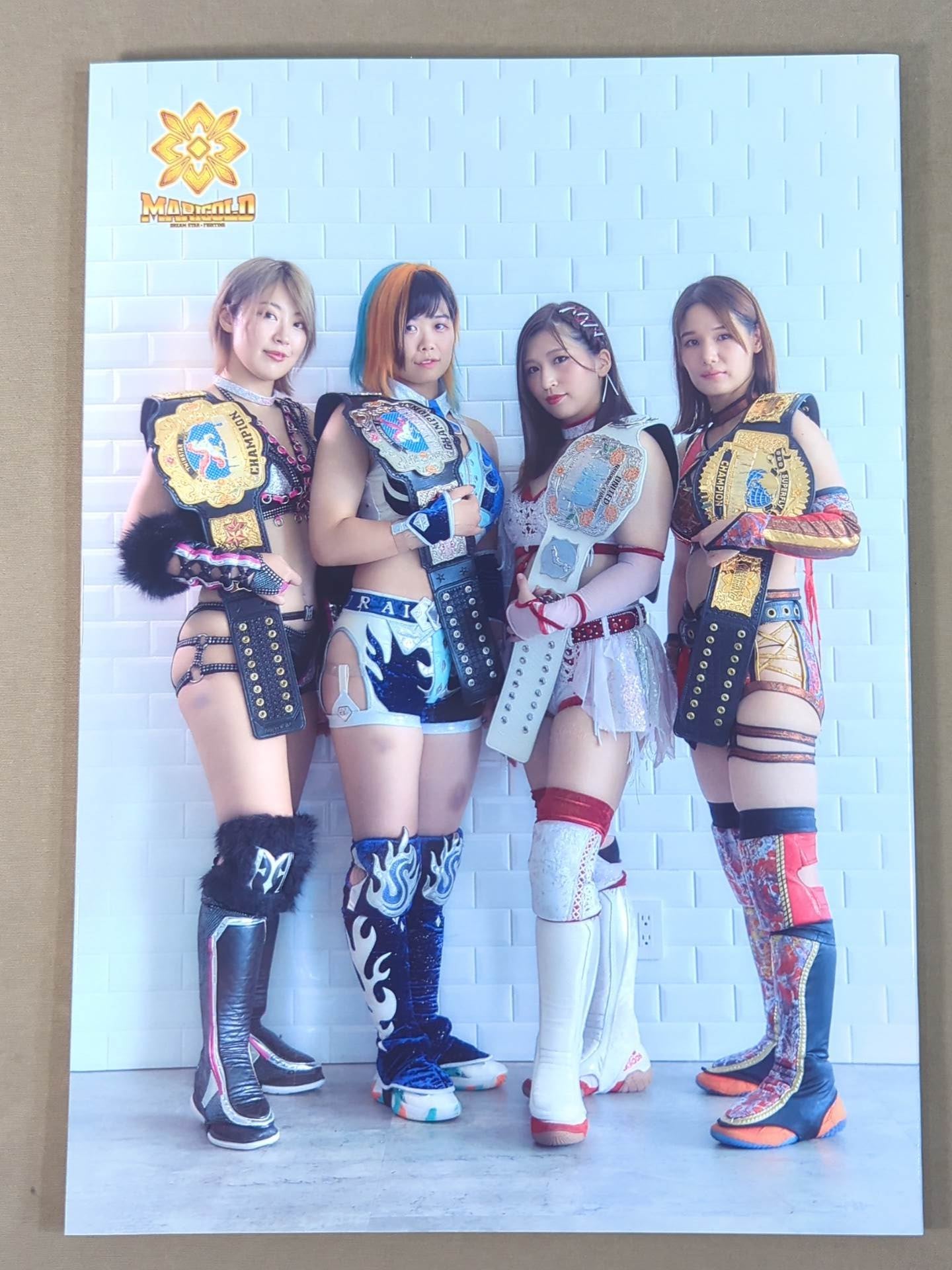 マリーゴールド / MARIGOLD GUIDE BOOK Vol.4 ～DREAM☆STAR GP2024 記念～