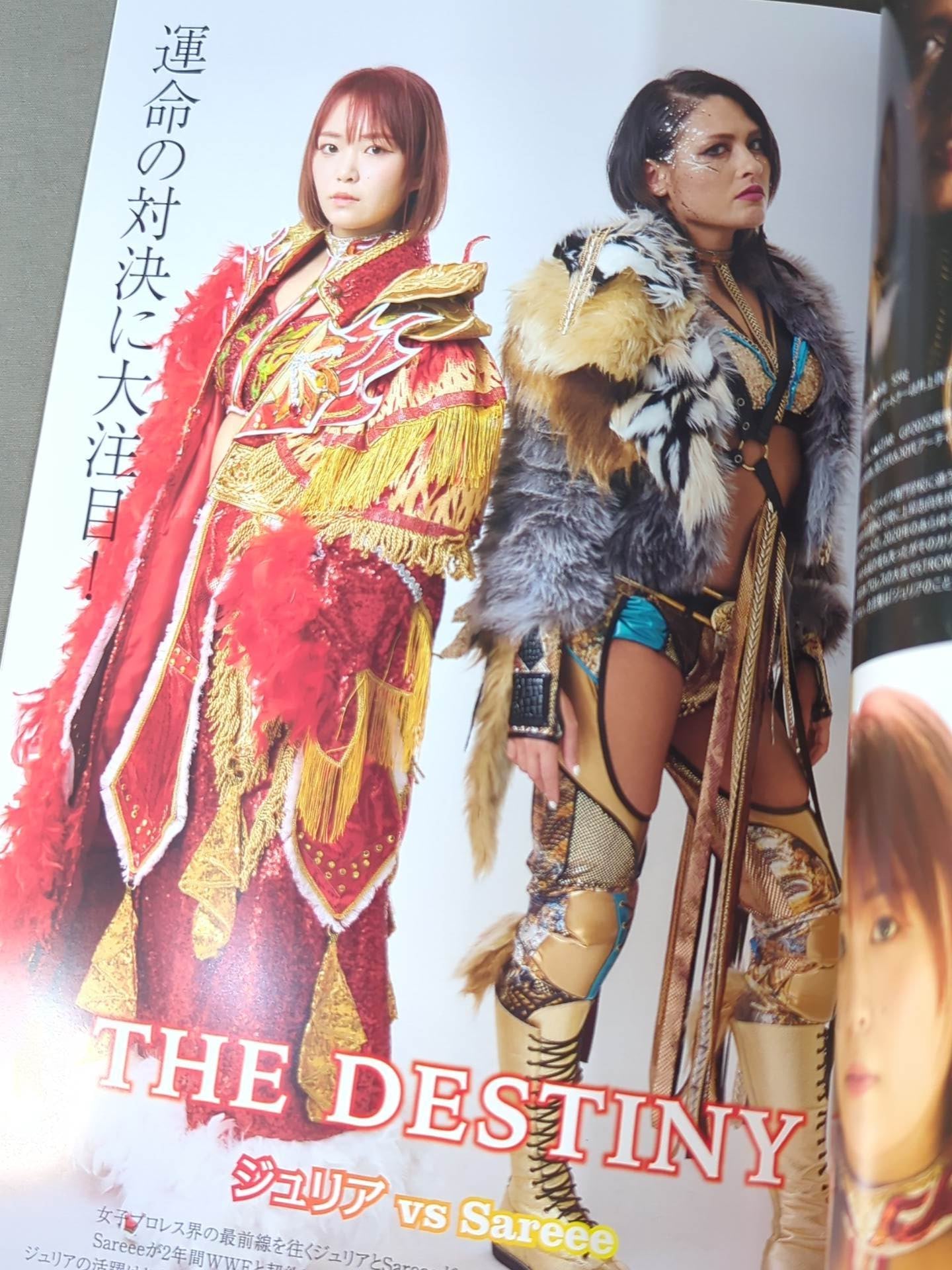 マリーゴールド / MARIGOLD SUMMER DESTINY 2024 Vol.2