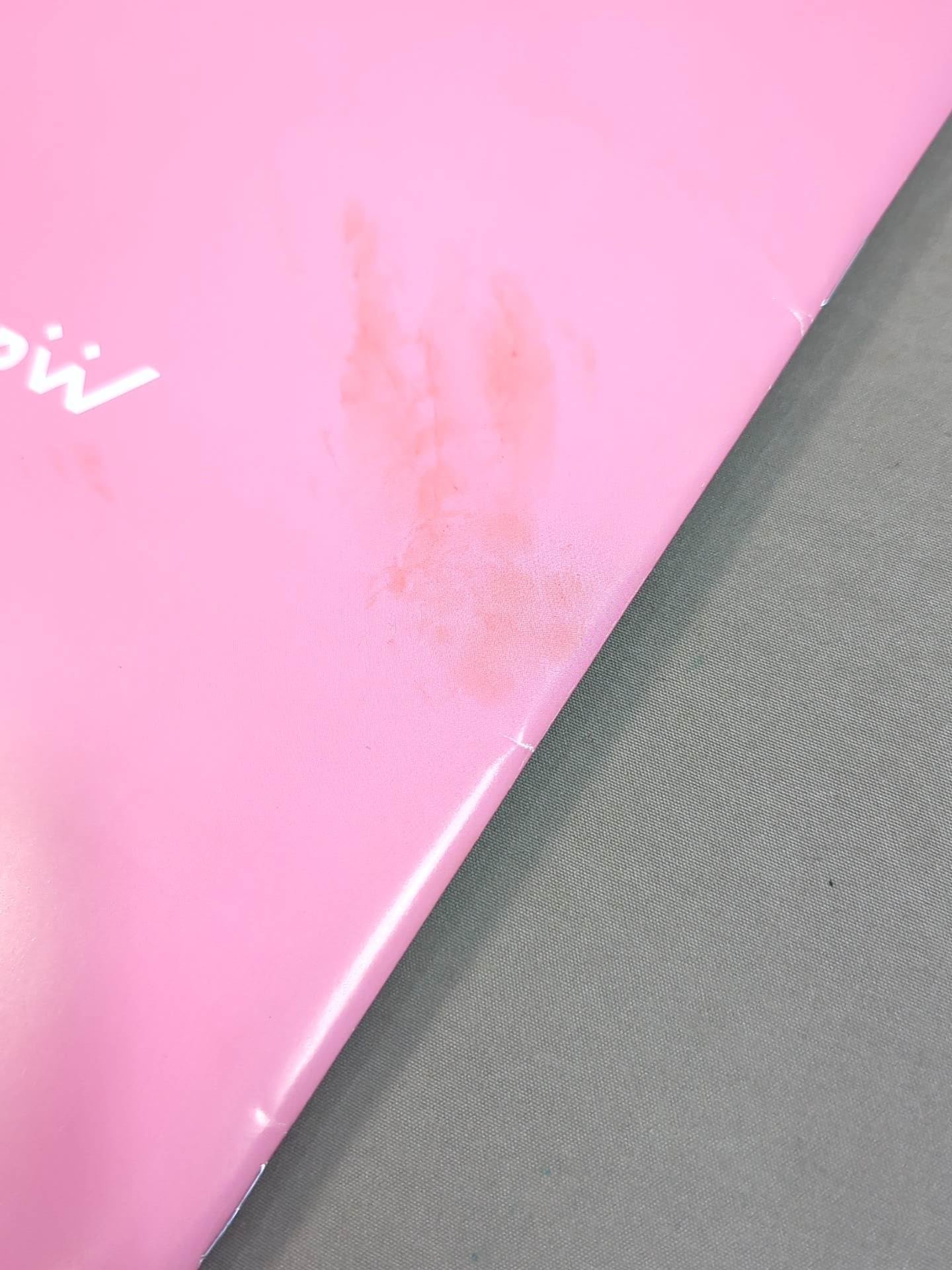 東京女子プロレス オフィシャルプログラム TJPW Vol.24