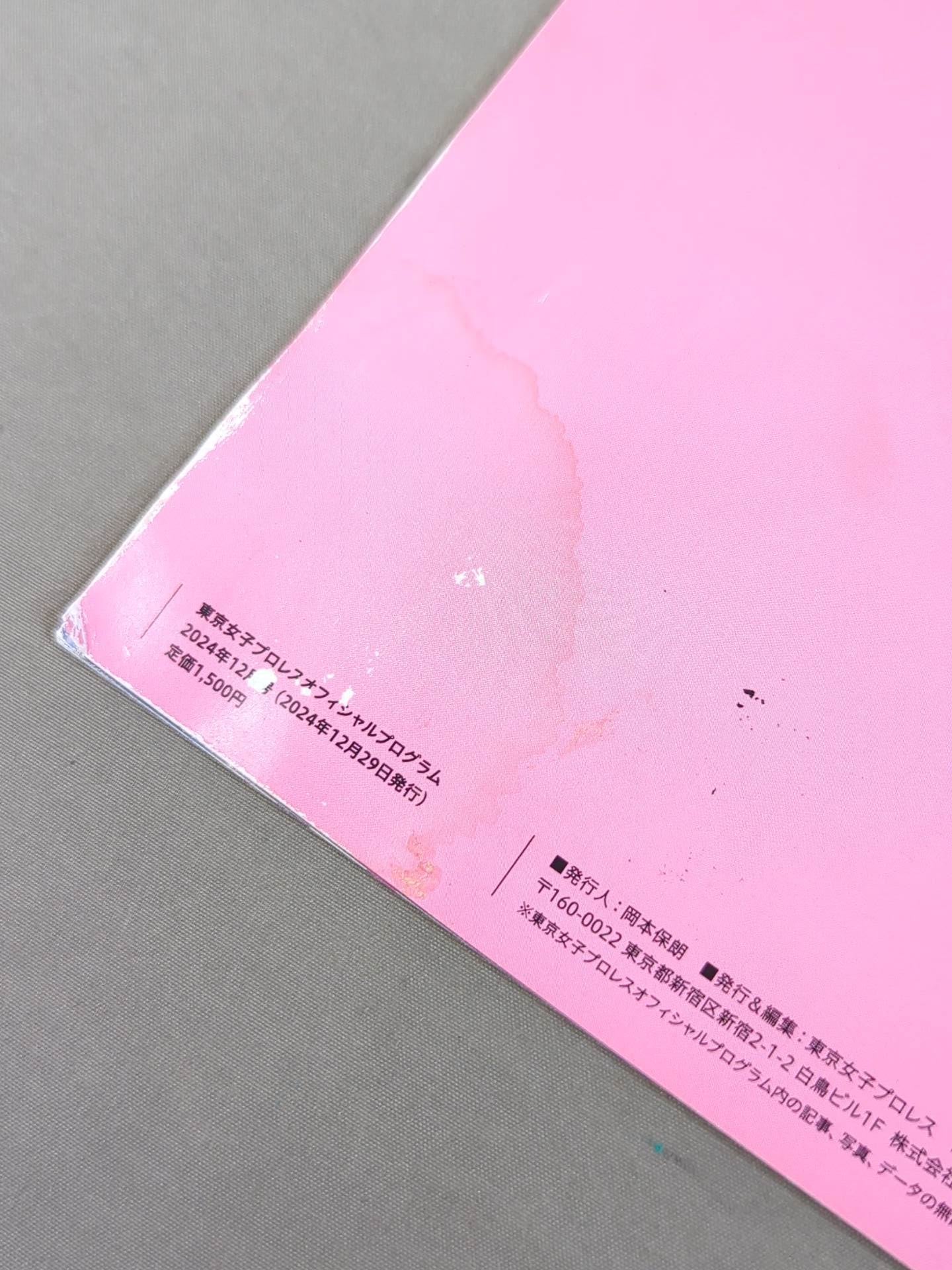 東京女子プロレス オフィシャルプログラム TJPW Vol.24