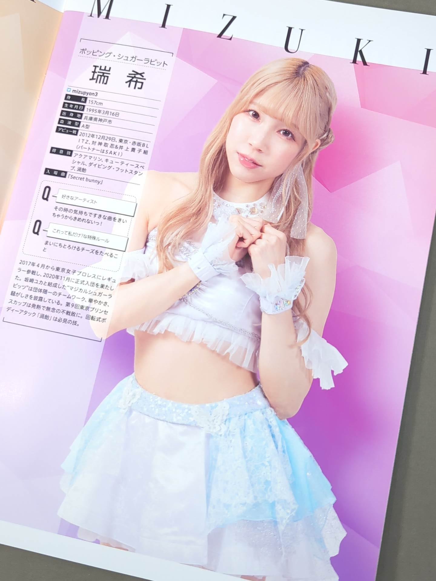 東京女子プロレス オフィシャルプログラム TJPW Vol.17