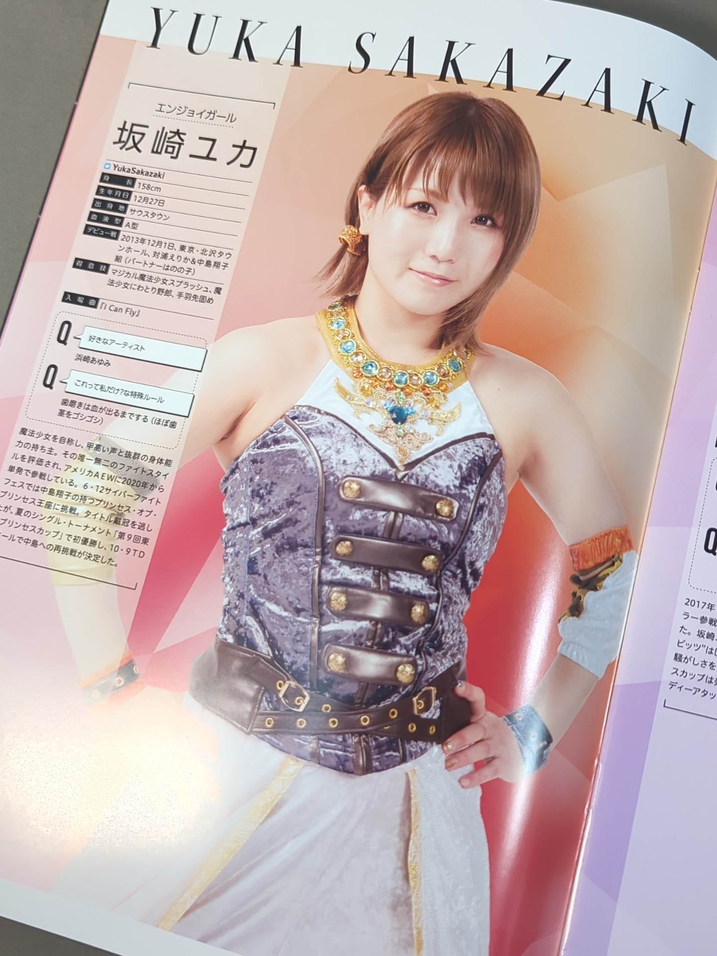 東京女子プロレス オフィシャルプログラム TJPW Vol.17