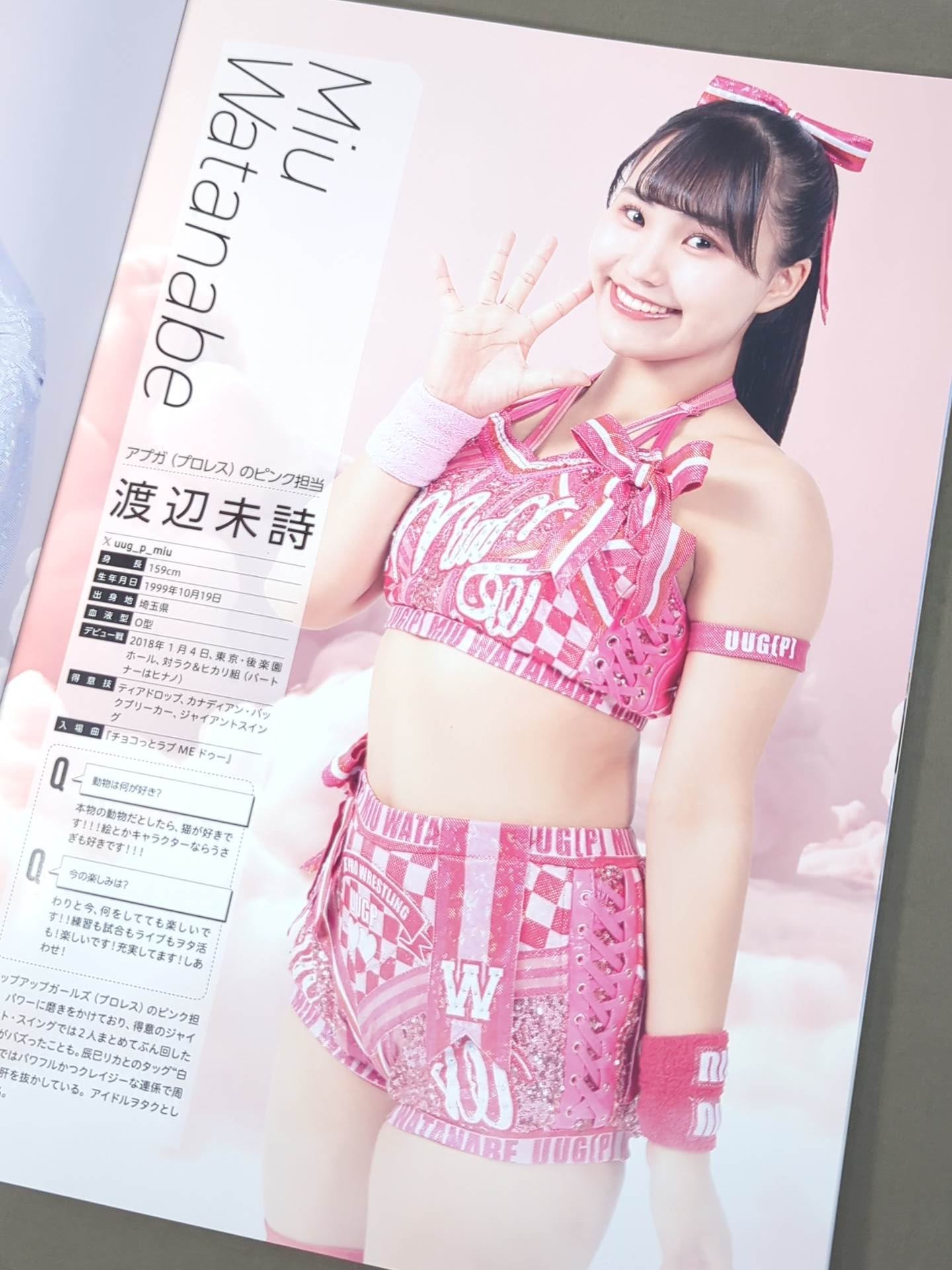 東京女子プロレス オフィシャルプログラム TJPW Vol.20