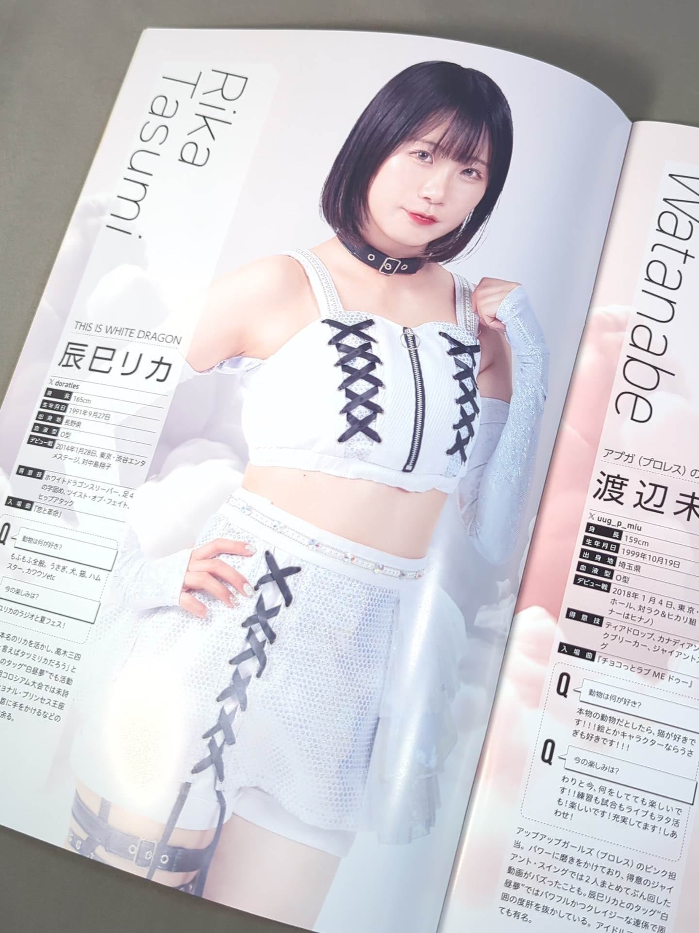 東京女子プロレス オフィシャルプログラム TJPW Vol.20