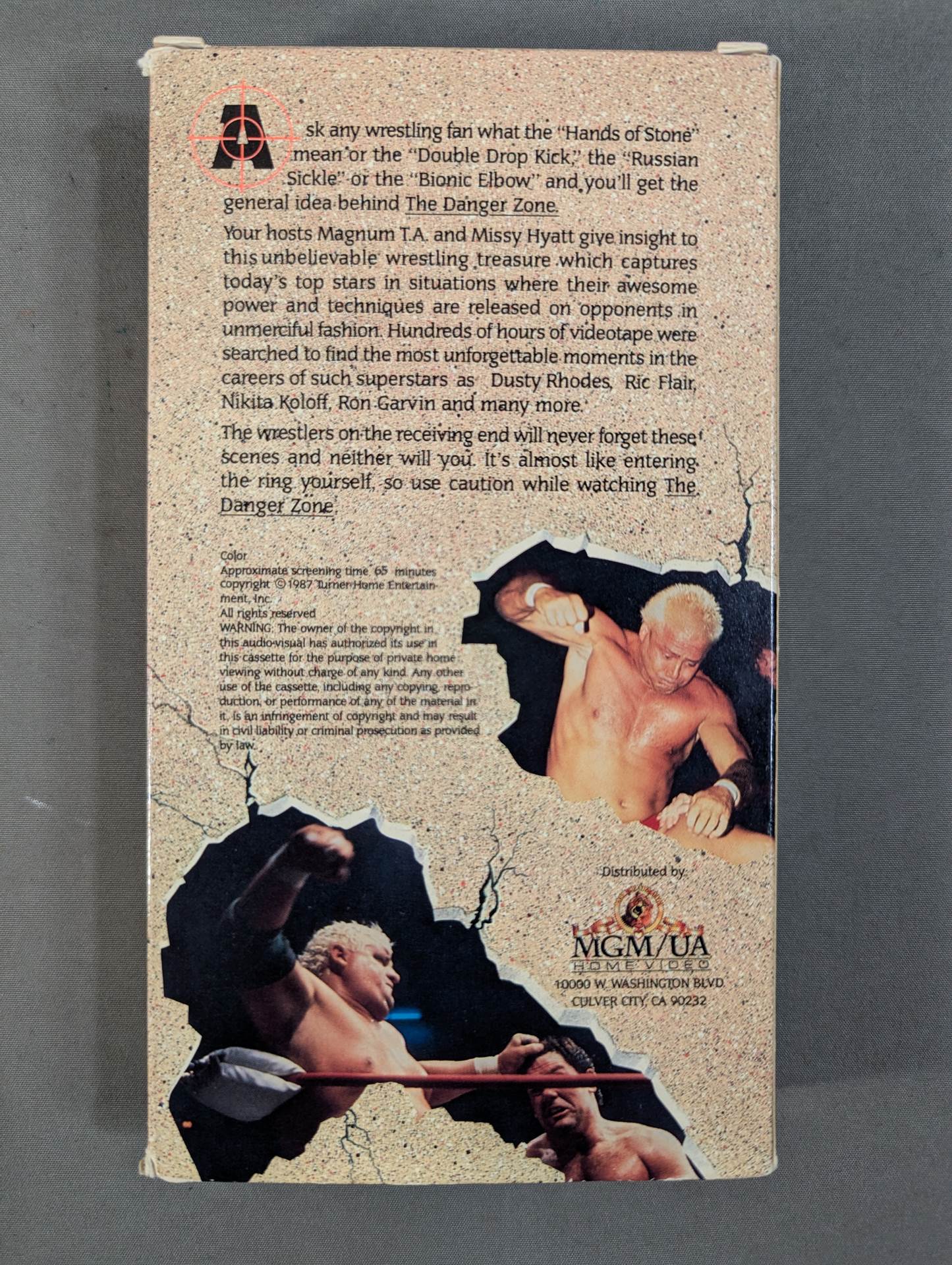 WCW THE DANGER ZONE