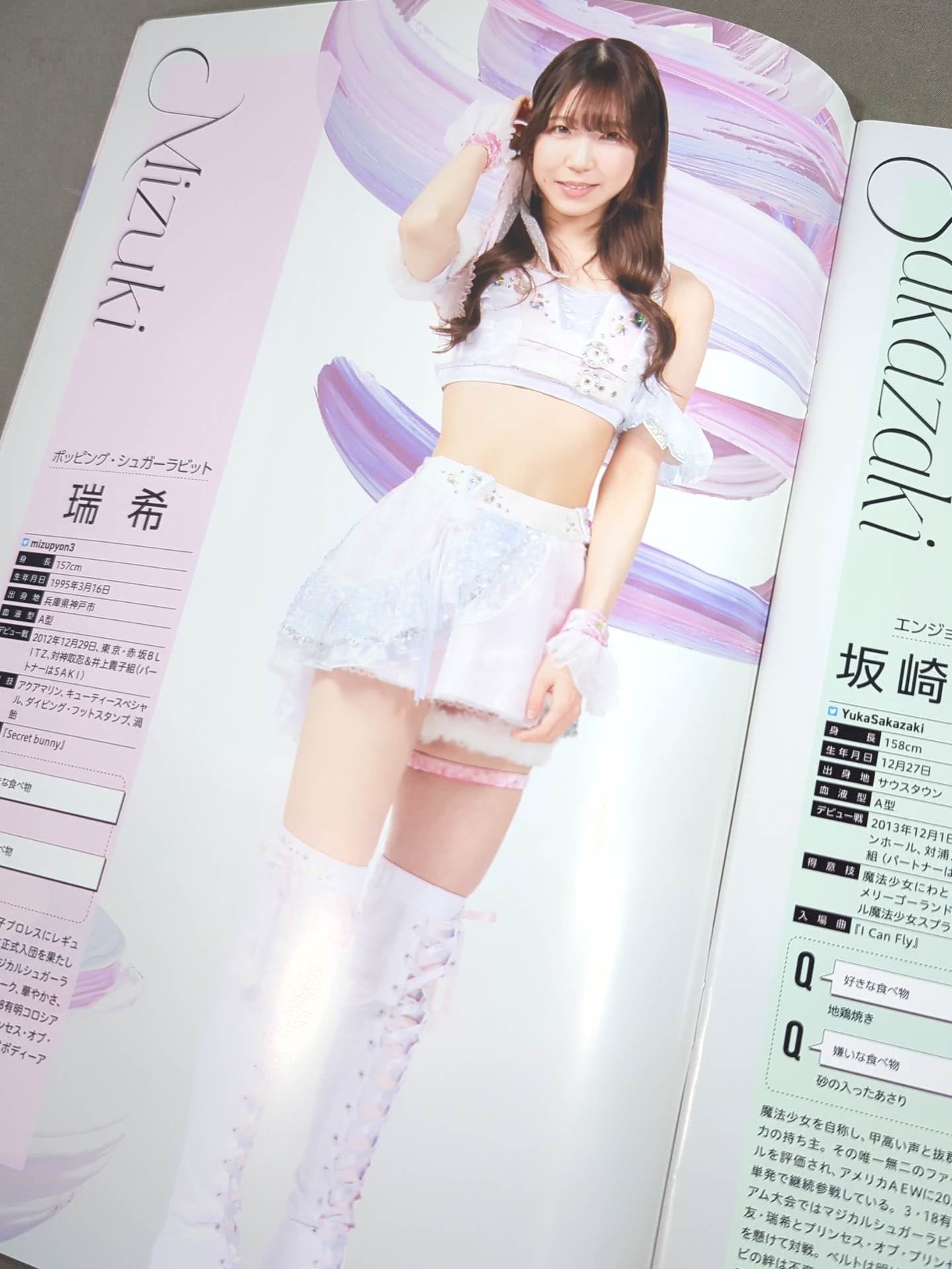 東京女子プロレス オフィシャルプログラム TJPW Vol.19