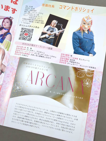 PURE-J女子プロレス オフィシャルパンフレット vol.17