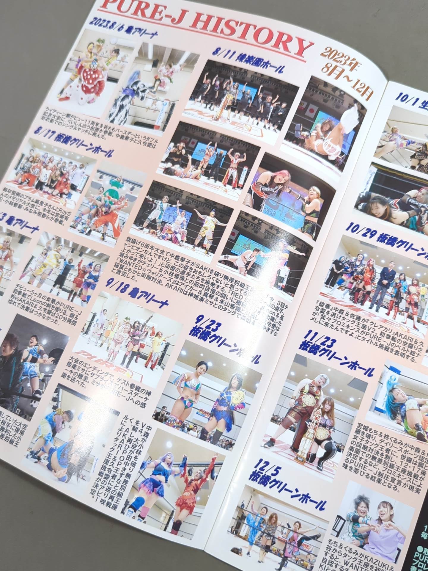 PURE-J女子プロレス オフィシャルパンフレット vol.17