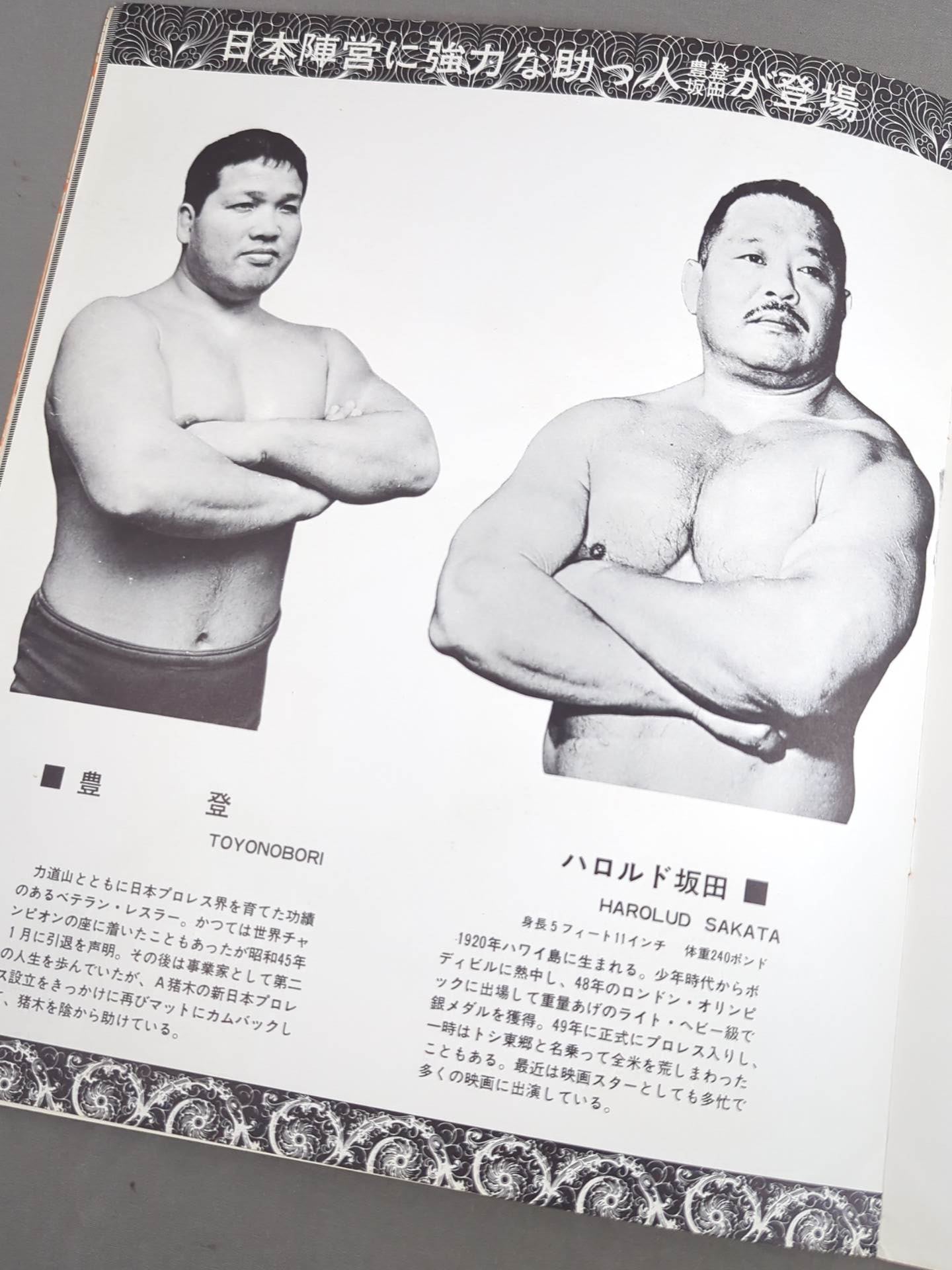 72ニューサマー・シリーズ