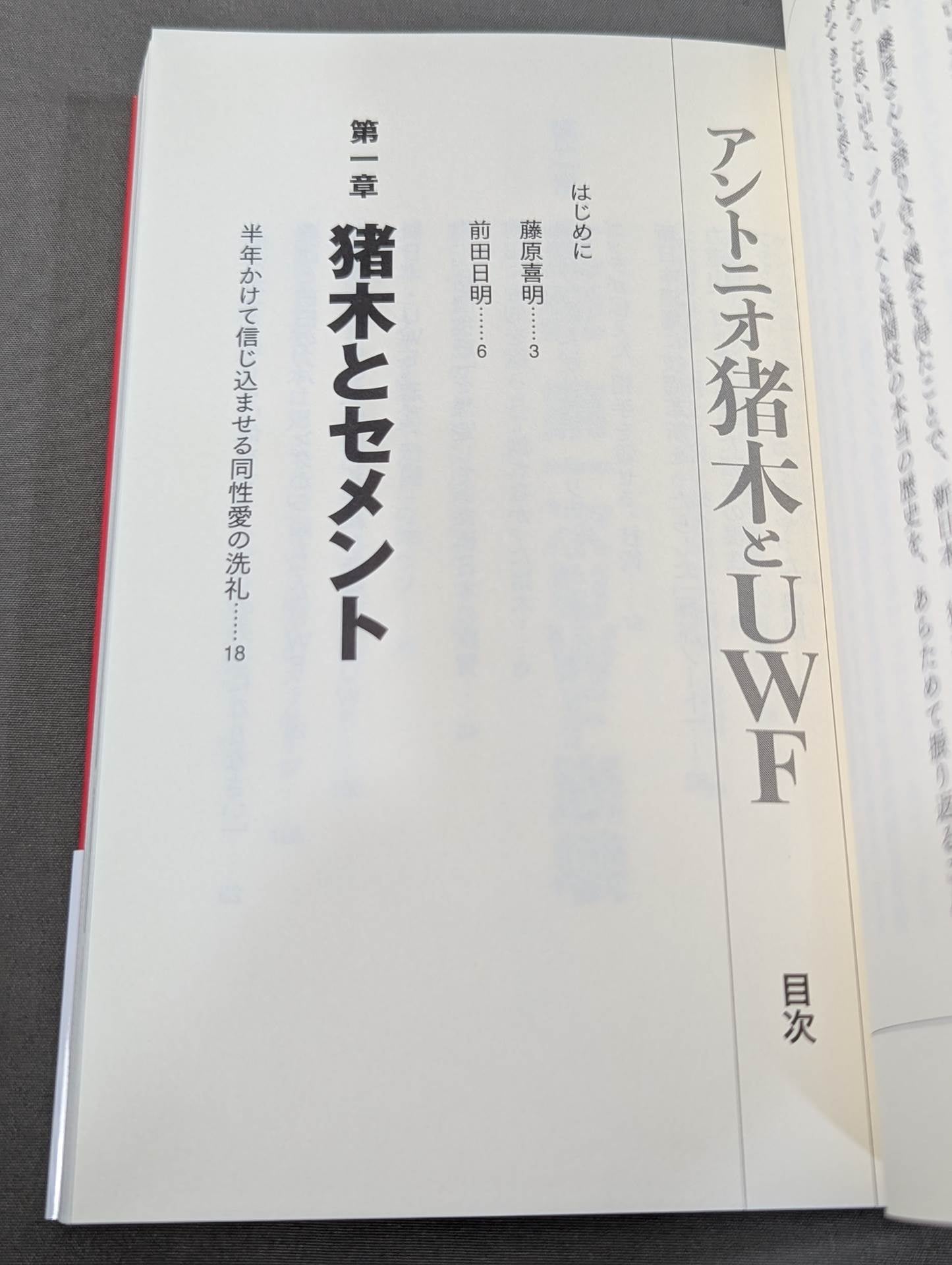 Antonio Inoki  and UWF