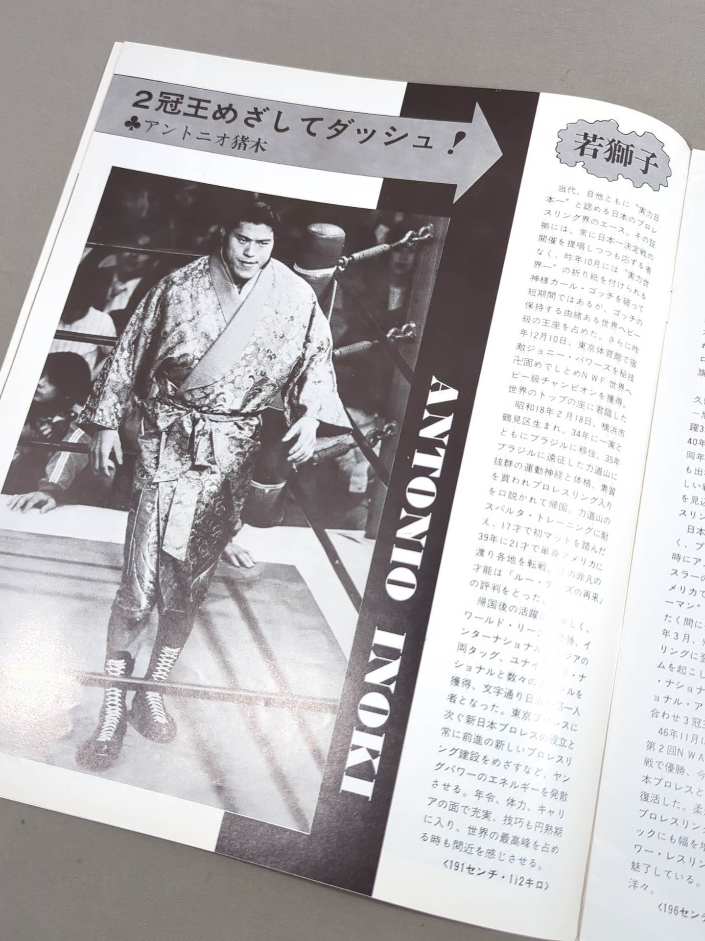 74 Golden Fight Series