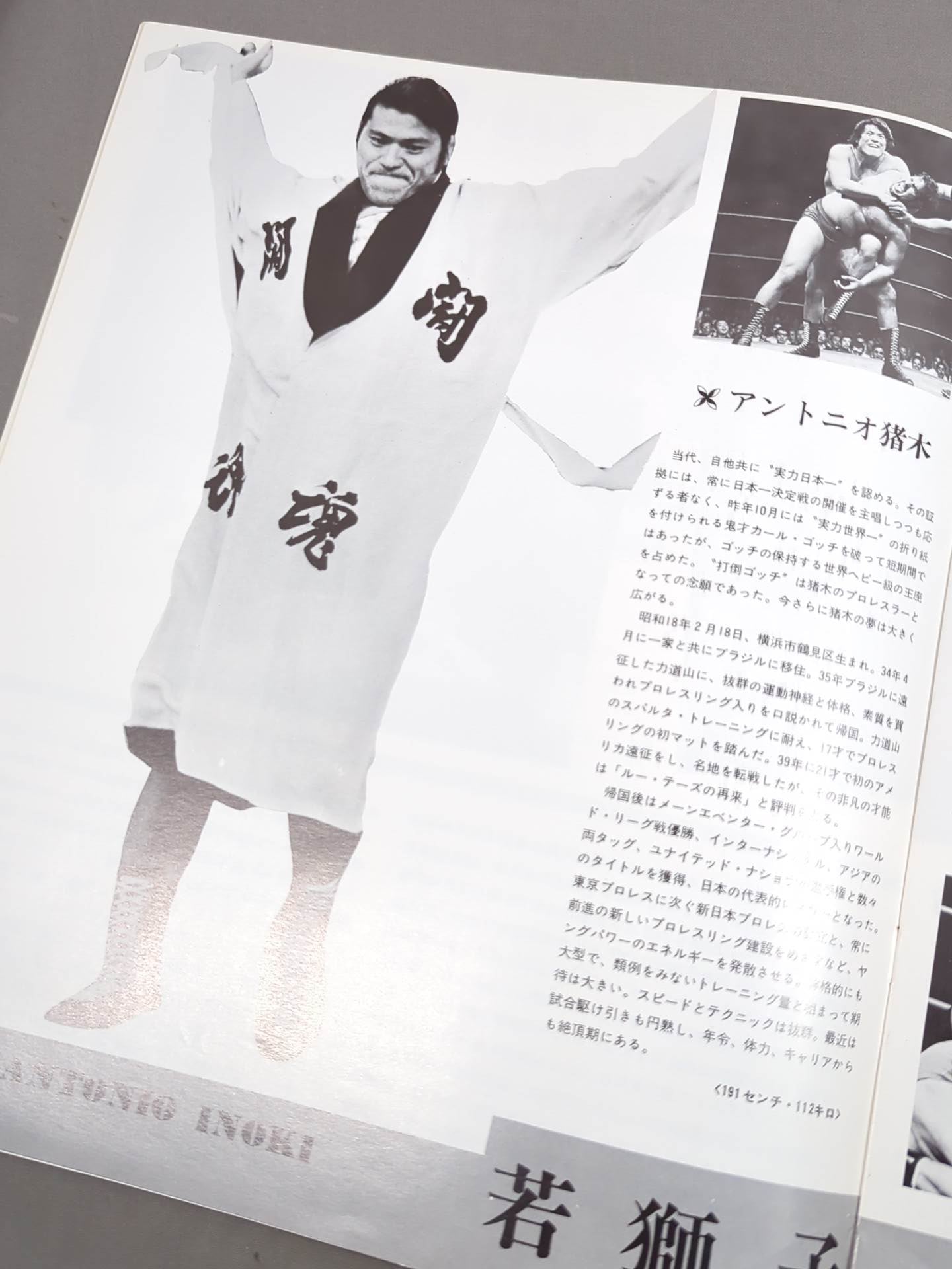 73闘魂シリーズ第2弾 世界タイトル挑戦記念