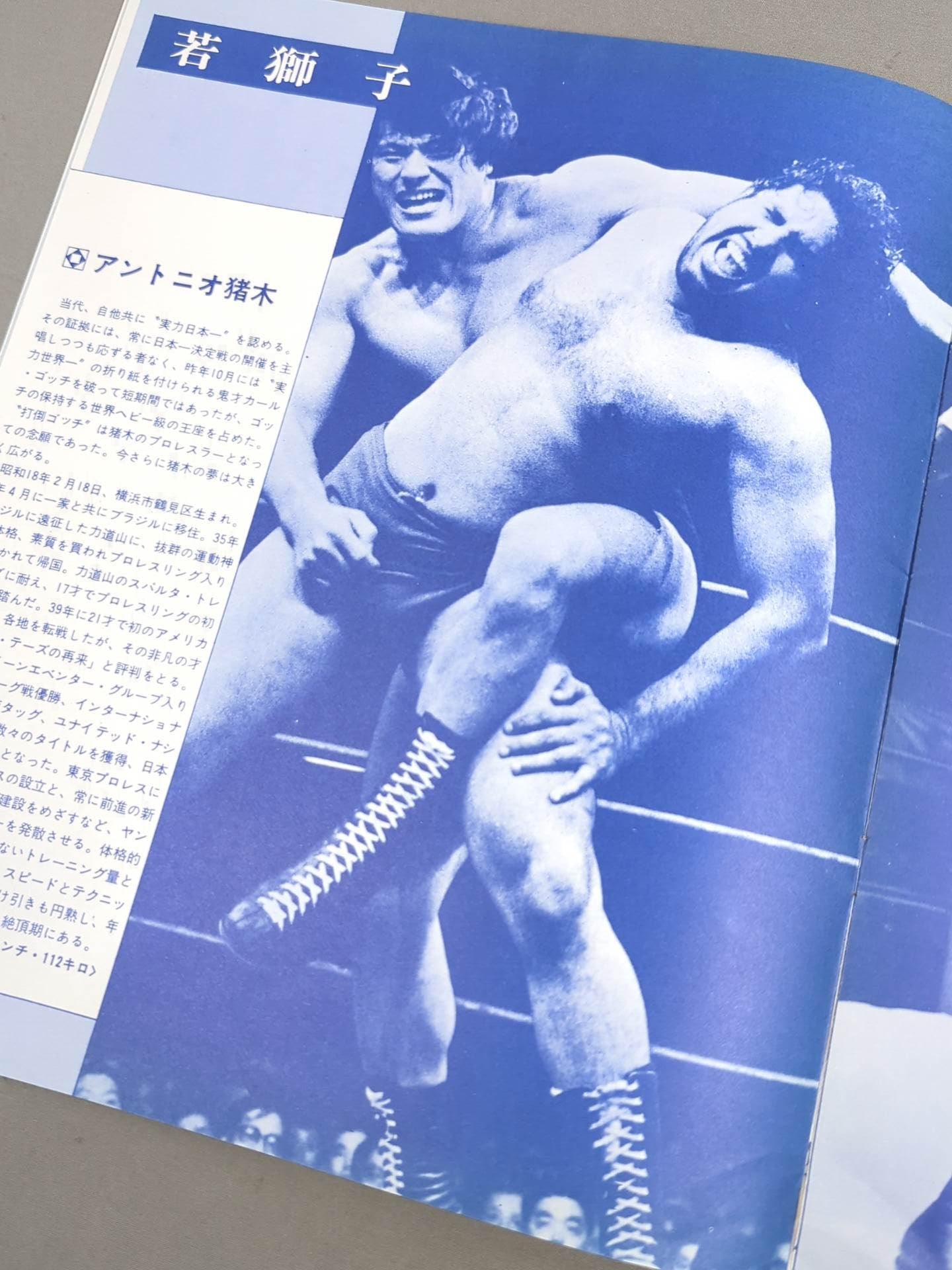 73サマービッグファイトシリーズ