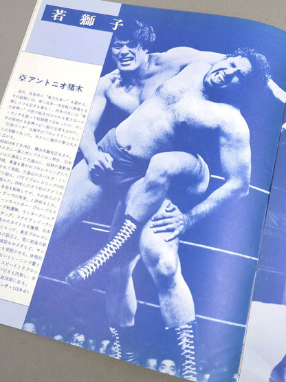 73サマービッグファイトシリーズ