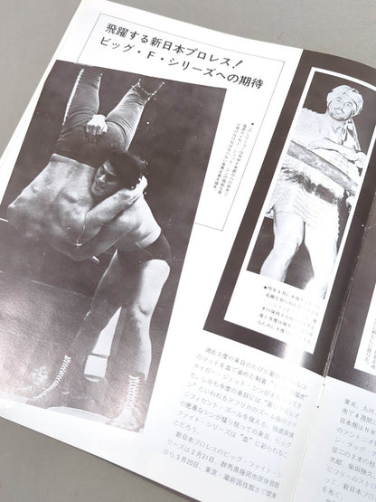 75ビッグファイトシリーズ