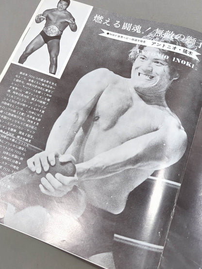 75ビッグファイトシリーズ