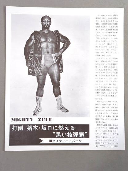 75ビッグファイトシリーズ