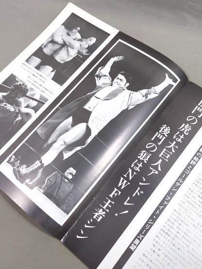 75ゴールデンファイトシリーズ