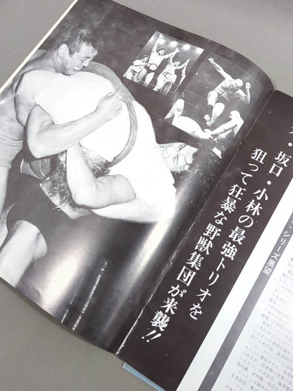 75サマー・ファイト・シリーズ