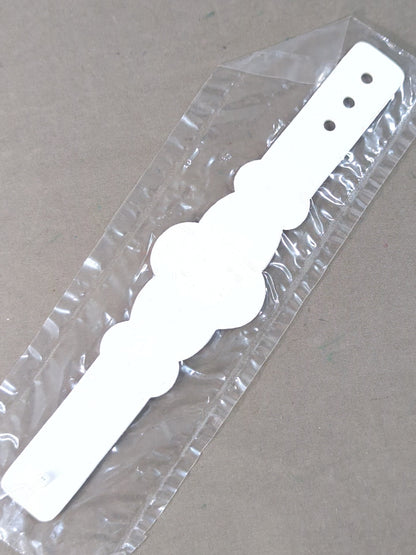 NWA世界ジュニアヘビー級王座 ミニチュアベルト