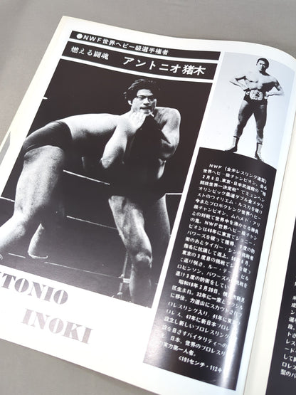 76ゴールデンファイトシリーズ