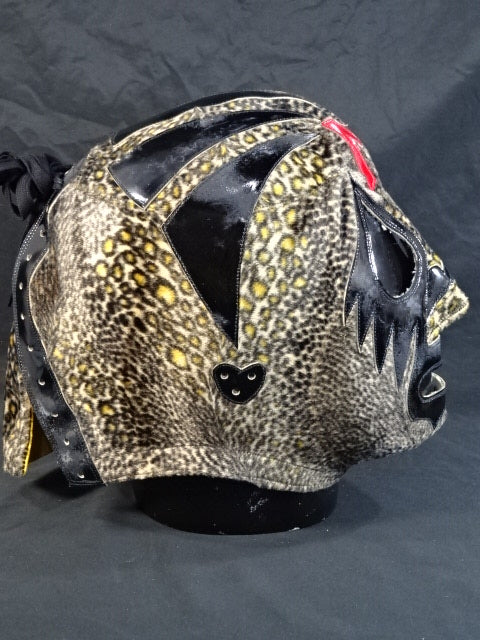 ミル・マスカラス – 闘道館