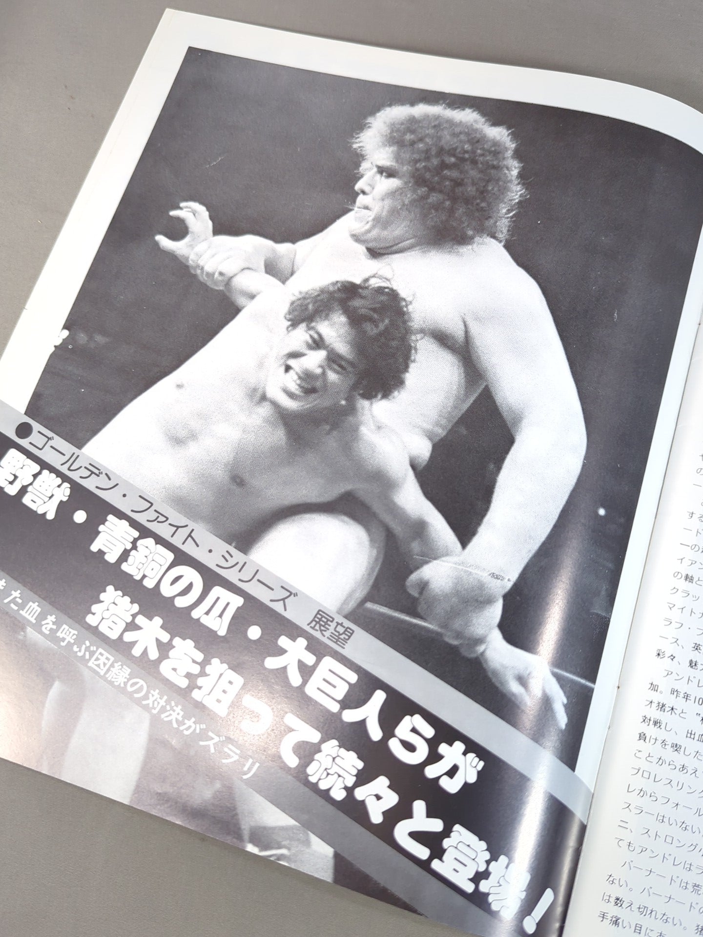 77ゴールデン・ファイト・シリーズ