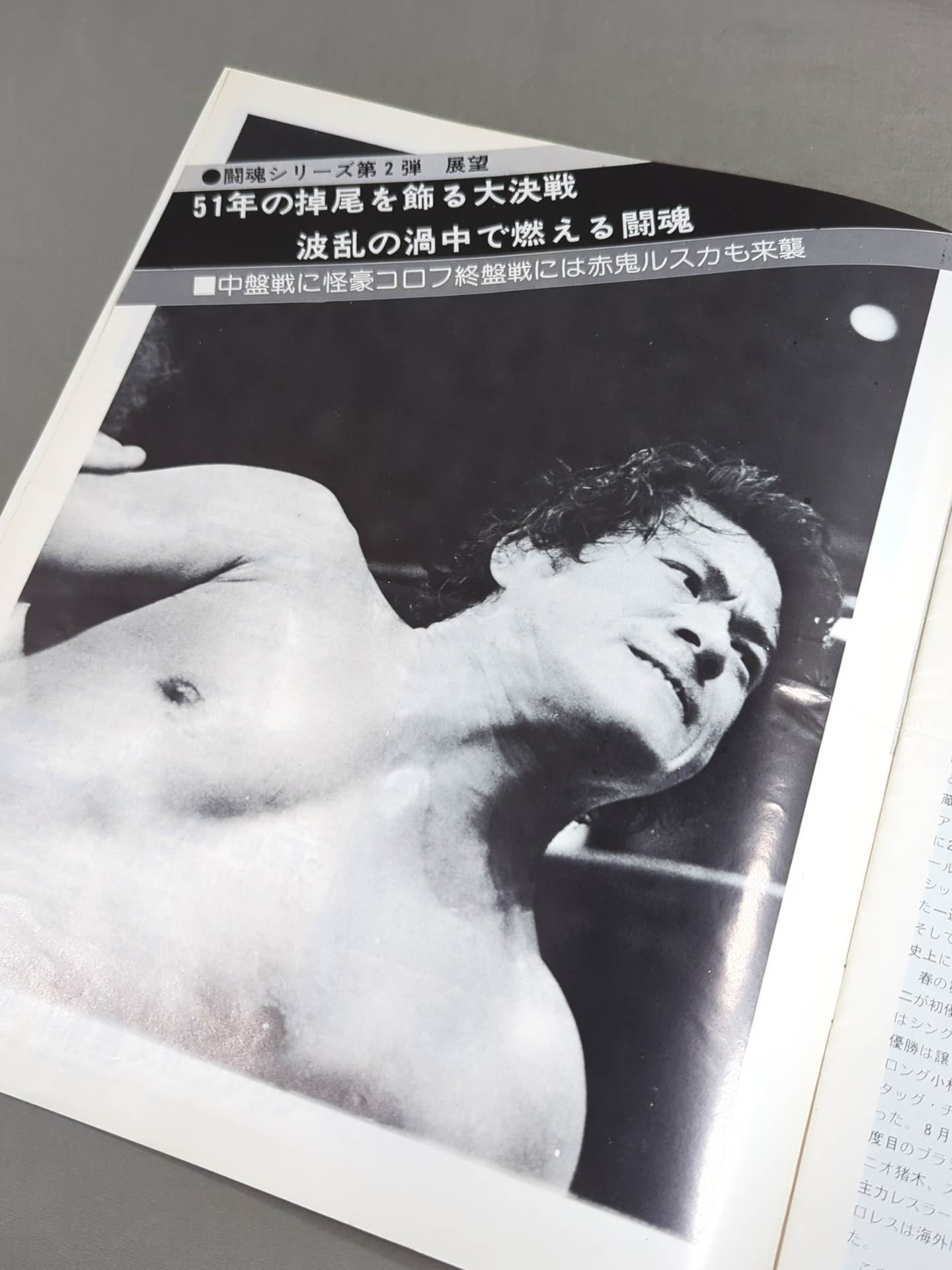 76闘魂シリーズ 第2弾 – 闘道館